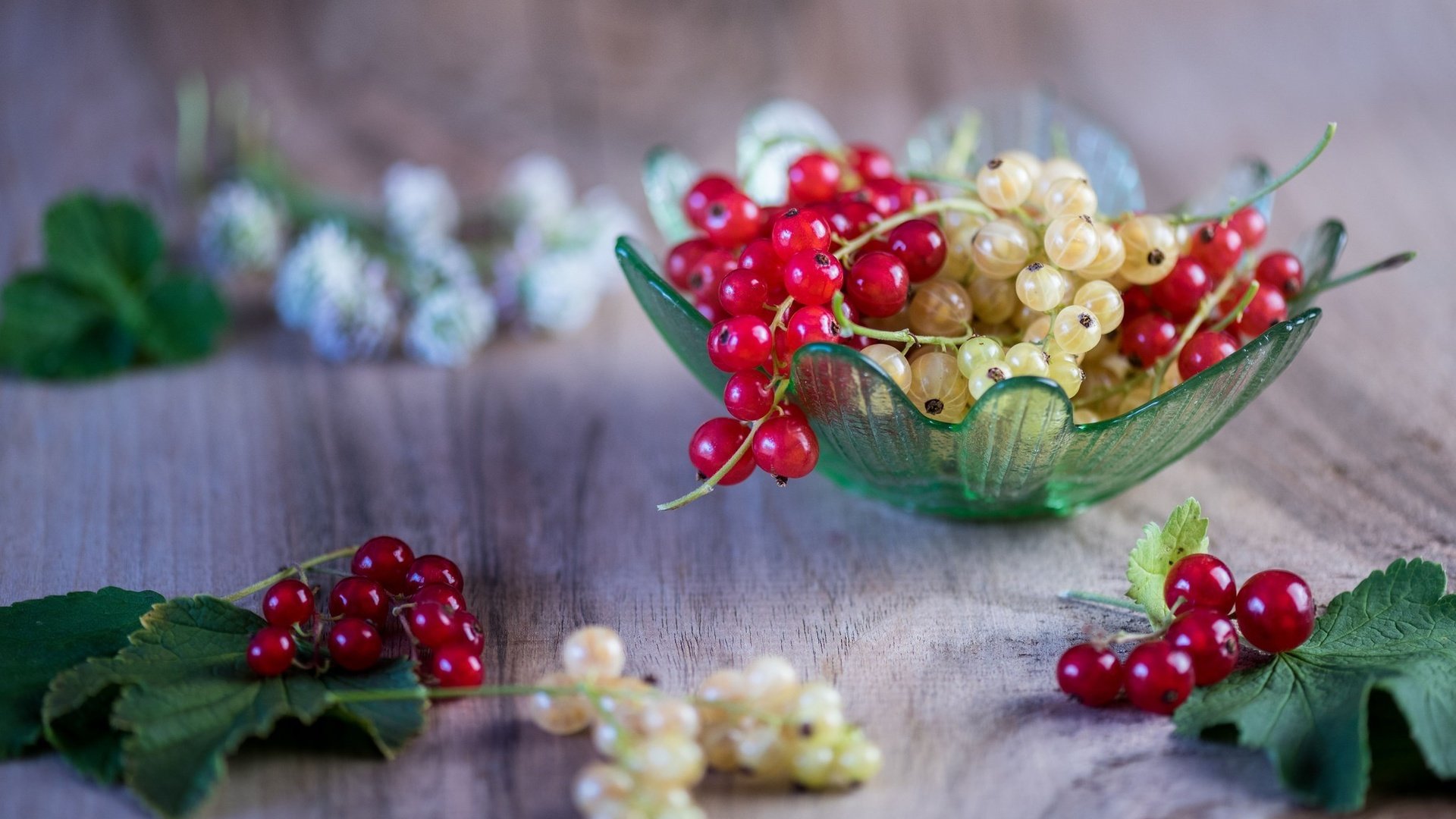 Обои ягоды, листики, вкусно, смородина, спелые, веточки, berries, leaves, delicious, currants, ripe, twigs разрешение 2048x1230 Загрузить