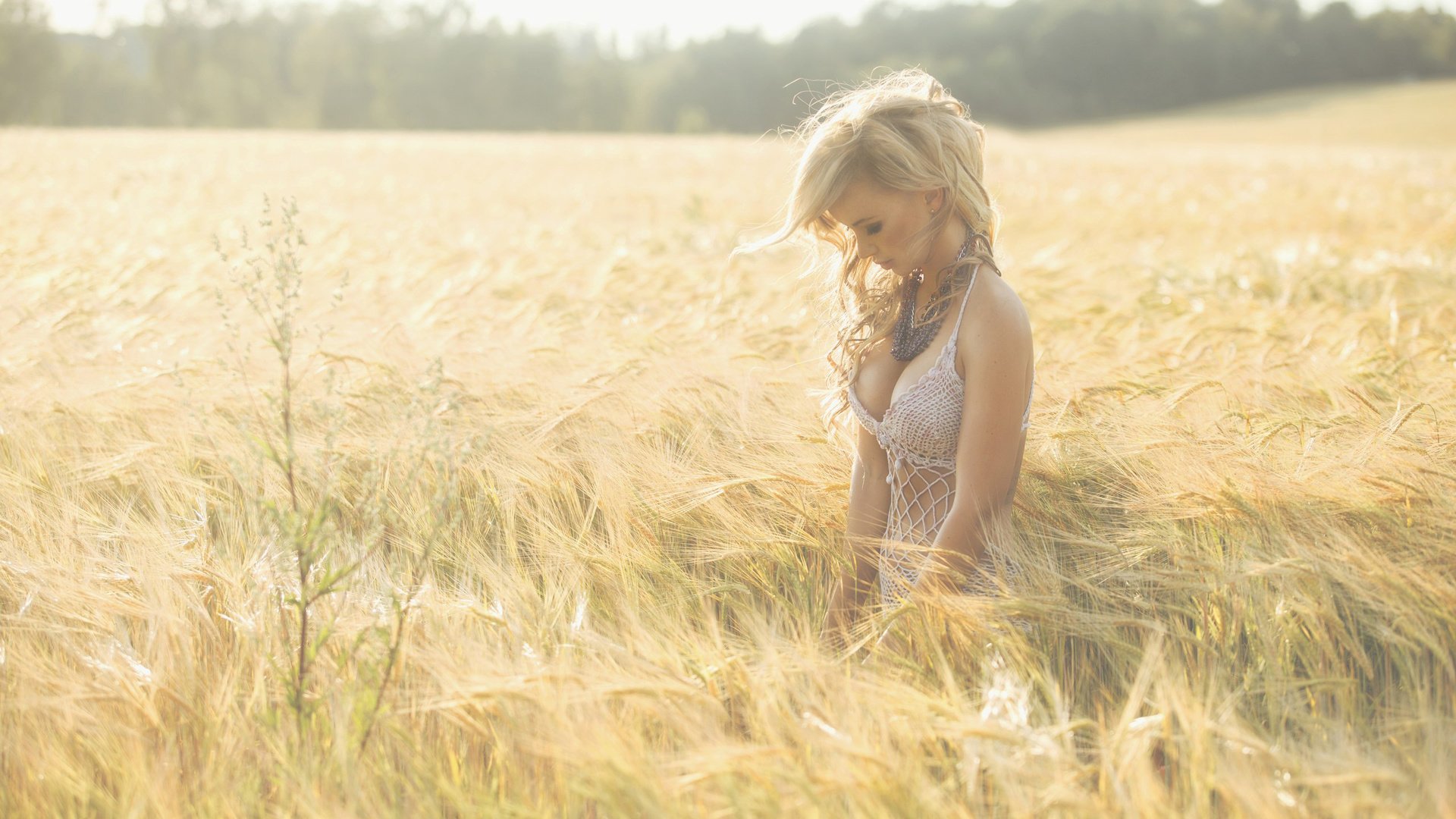Обои девушка, блондинка, поле, луг, пшеница, олеся, girl, blonde, field, meadow, wheat, olesya разрешение 2560x1707 Загрузить