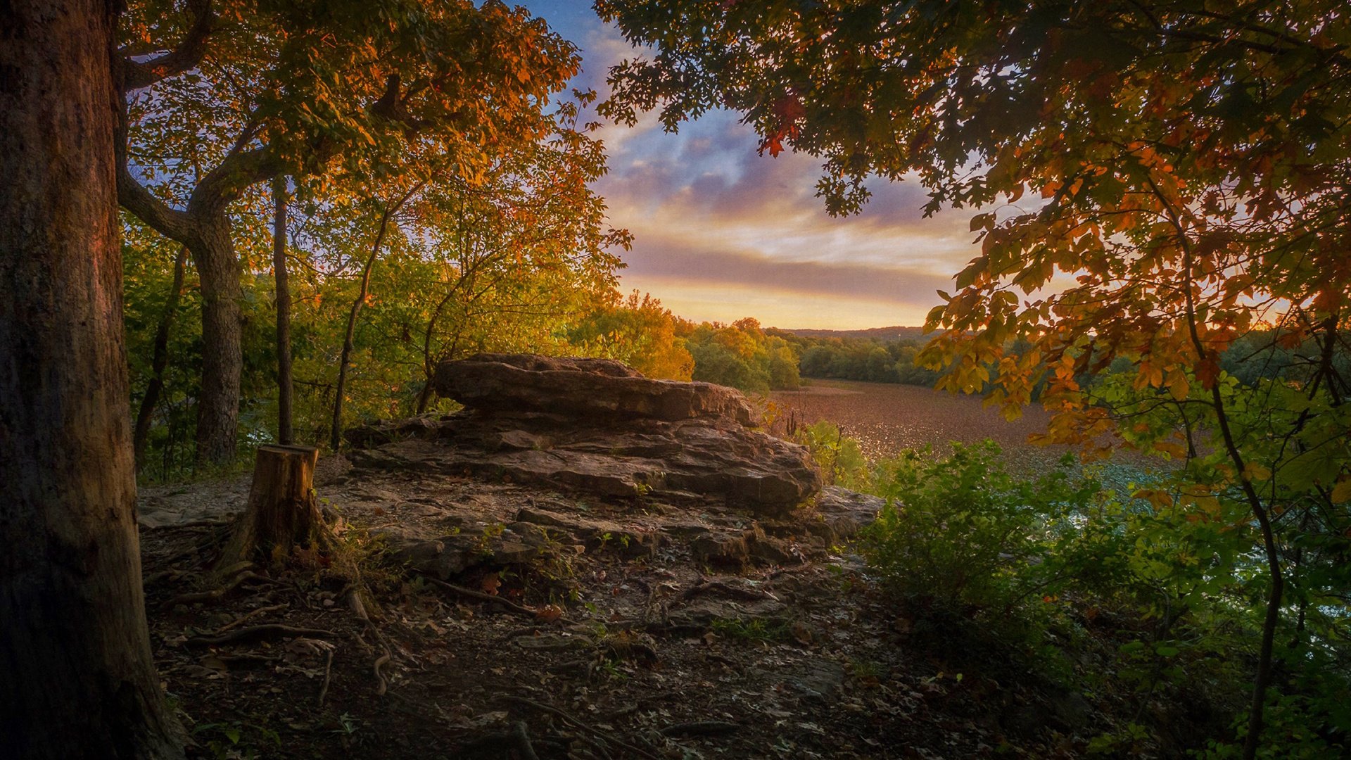 Обои природа, лес, парк, осень, nature, forest, park, autumn разрешение 1920x1200 Загрузить