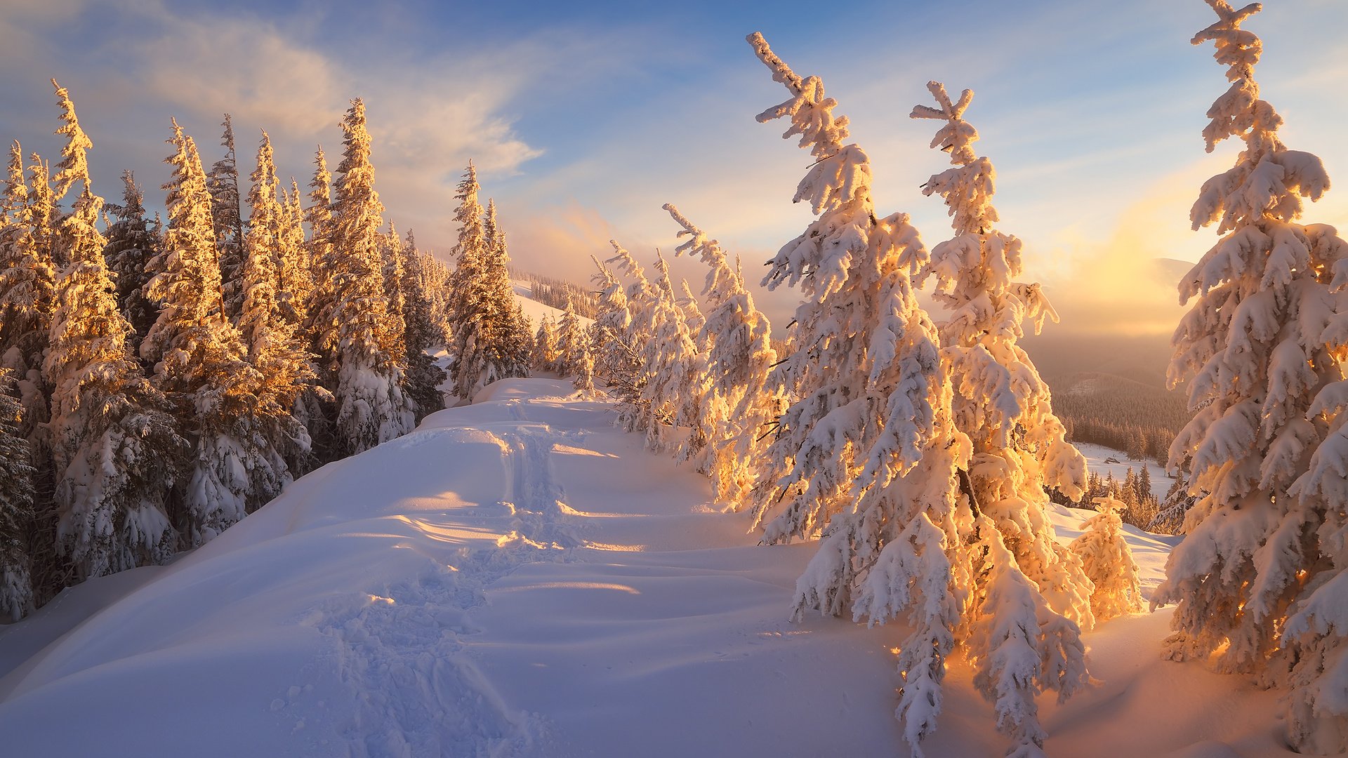 Обои горы, природа, лес, зима, карпаты, mountains, nature, forest, winter, carpathians разрешение 2880x1800 Загрузить