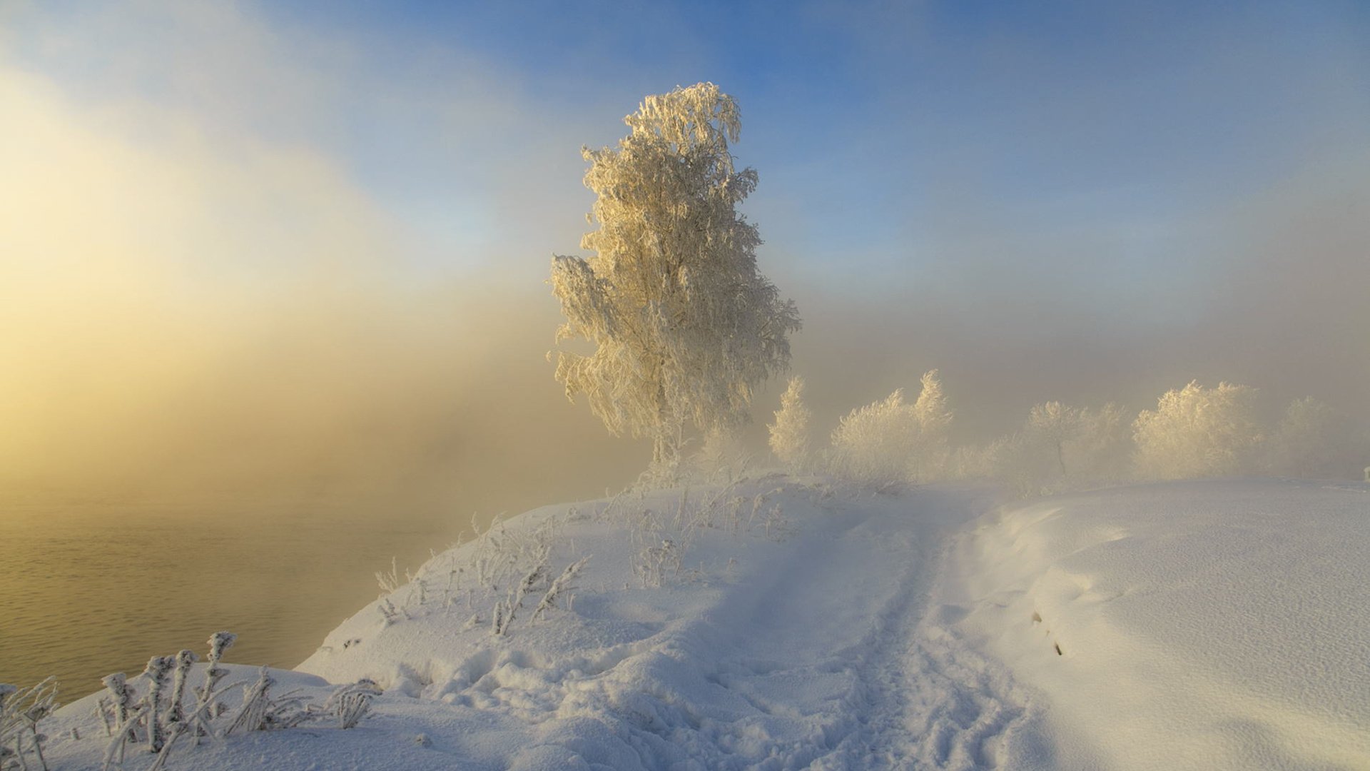 Обои дорога, следы, снег, sergeo, природа, дерево, зима, пейзаж, туман, иней, road, traces, snow, nature, tree, winter, landscape, fog, frost разрешение 1920x1200 Загрузить