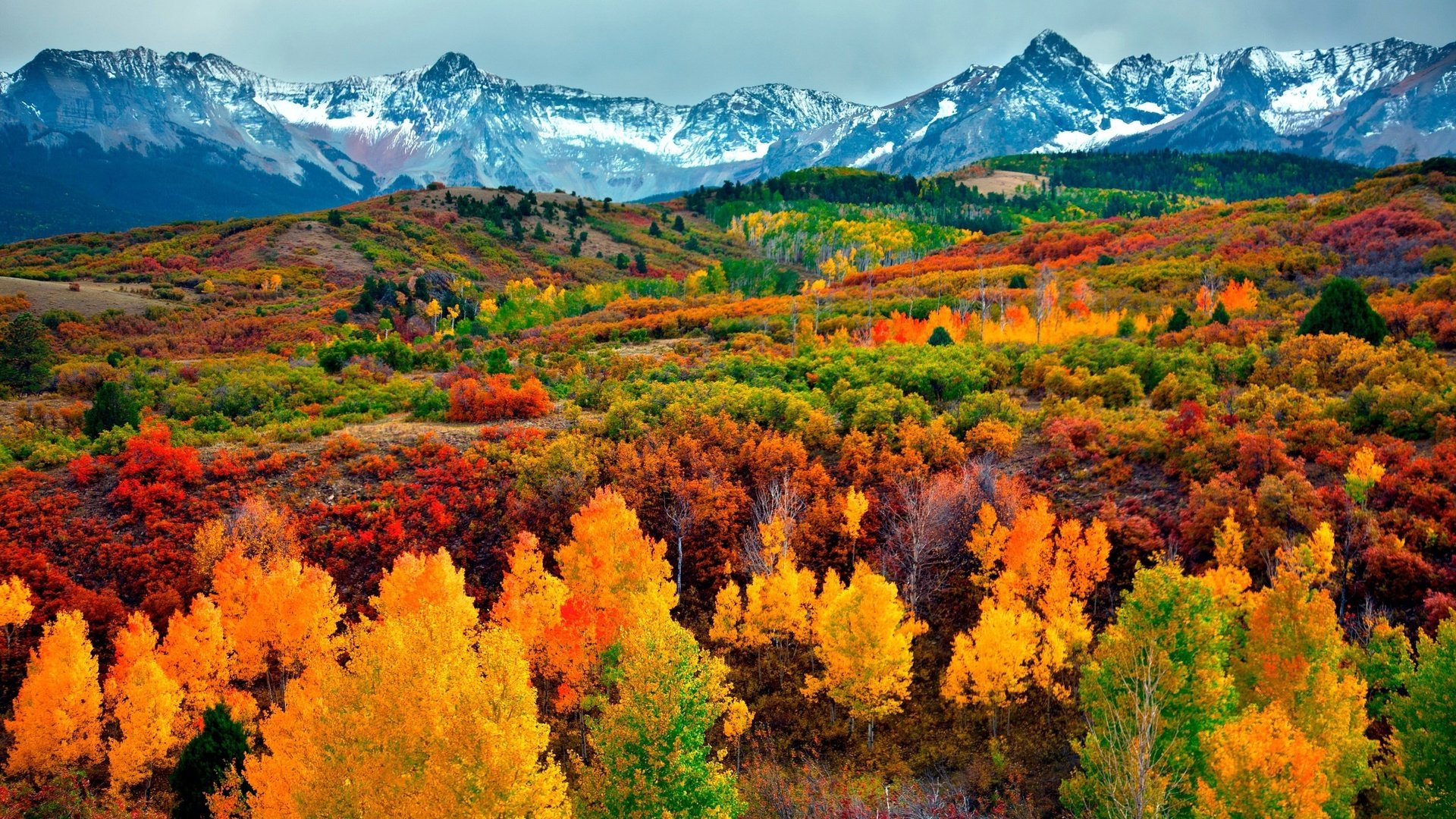 Обои небо, деревья, горы, снег, лес, осень, the sky, trees, mountains, snow, forest, autumn разрешение 3000x2000 Загрузить