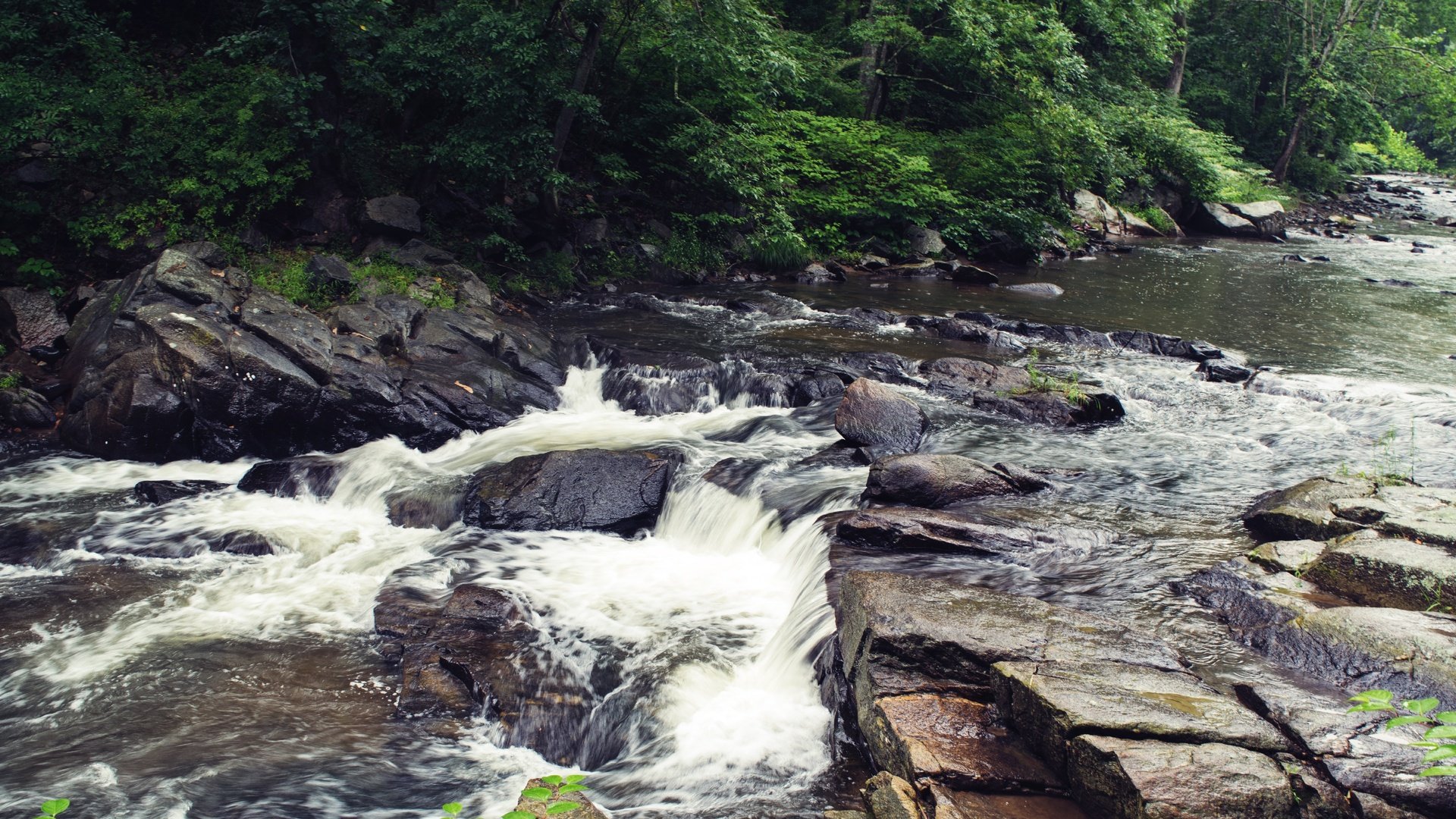 Обои река, скалы, камни, листва, river, rocks, stones, foliage разрешение 3840x2160 Загрузить