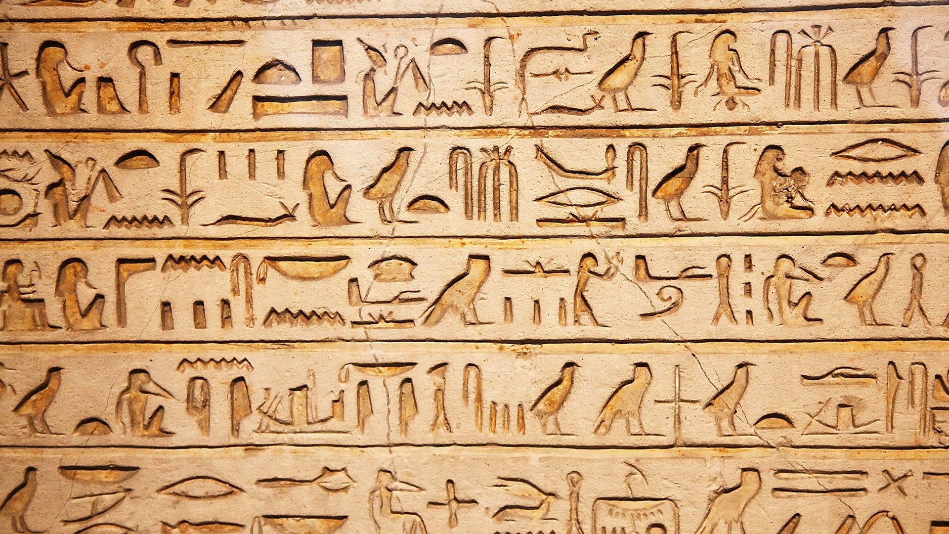 Обои иероглифы, архитектура, египет, древний, древний египет, иероглифами, characters, architecture, egypt, ancient, ancient egypt разрешение 2560x1600 Загрузить