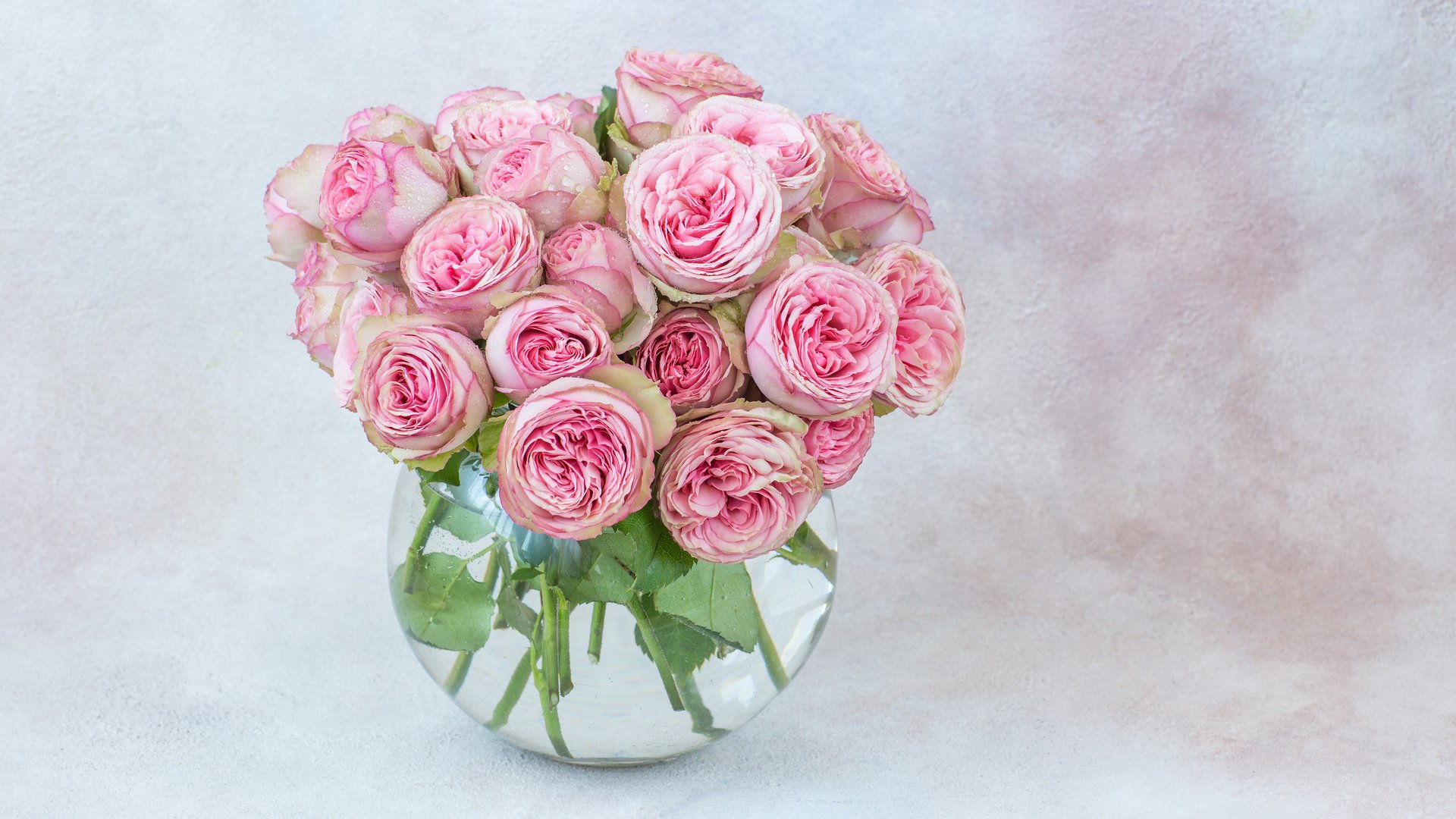 Обои розы, букет, розовые, ваза, julija vilvarin, roses, bouquet, pink, vase разрешение 5472x3648 Загрузить