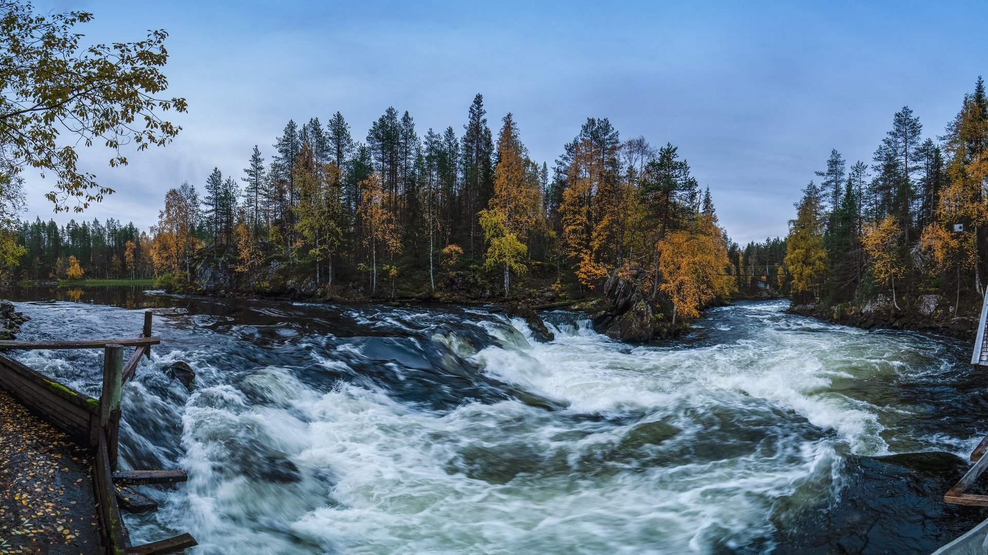 Обои деревья, река, лес, осень, финляндия, kuusamo, trees, river, forest, autumn, finland разрешение 3072x1500 Загрузить