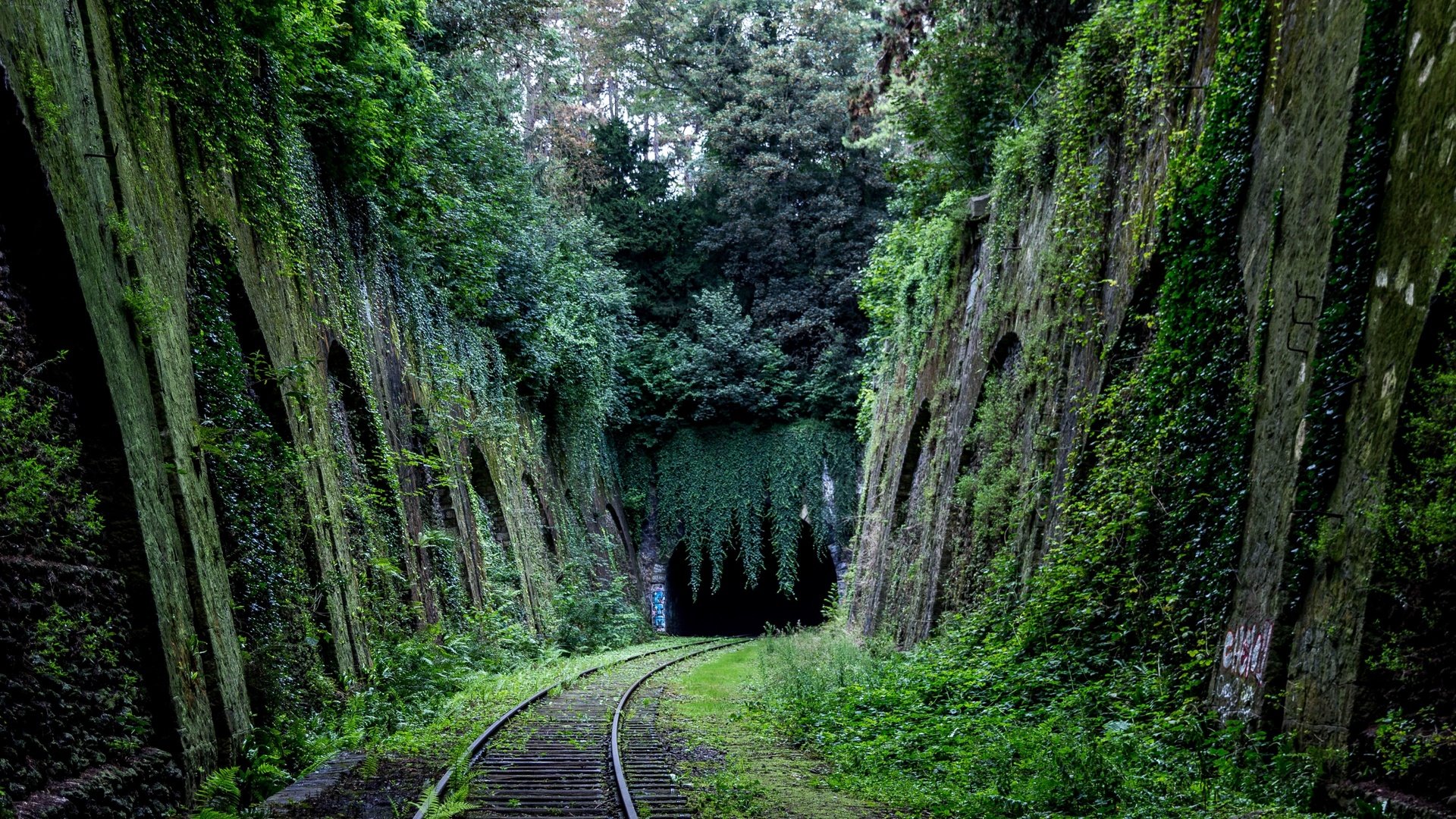 Обои деревья, железная дорога, природа, мох, тоннель, trees, railroad, nature, moss, the tunnel разрешение 3840x2560 Загрузить