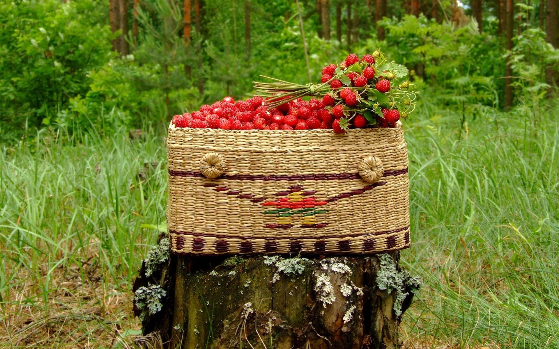 Обои корзина, пень, земляника, basket, stump, strawberries разрешение 1920x1440 Загрузить