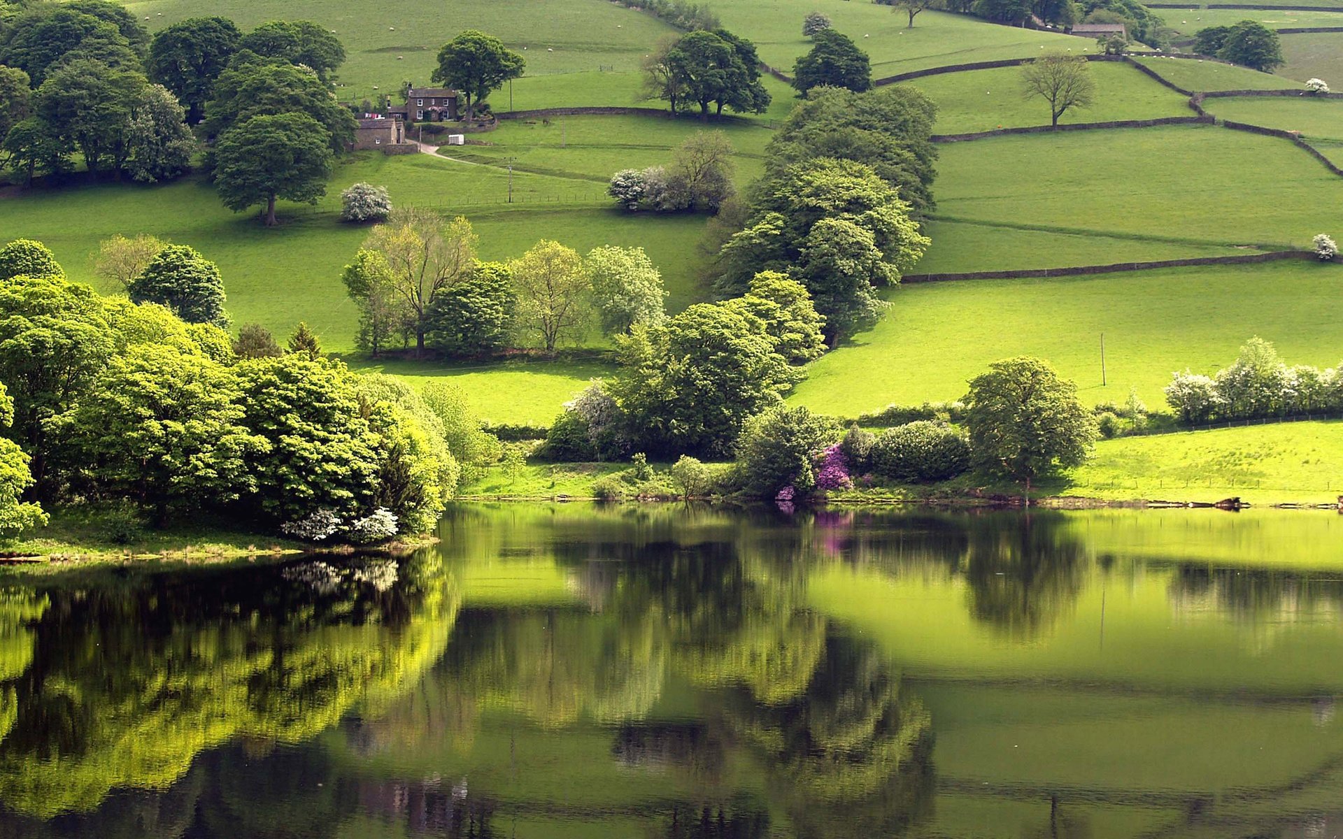 Обои озеро, зелень, отражение, lake, greens, reflection разрешение 2560x1600 Загрузить