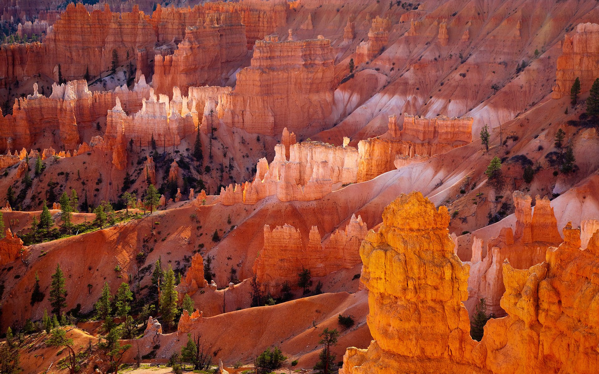 Обои скалы, пустыня, оранжевый, брайс-каньон, плато юта, rocks, desert, orange, bryce canyon, plateau utah разрешение 2560x1600 Загрузить
