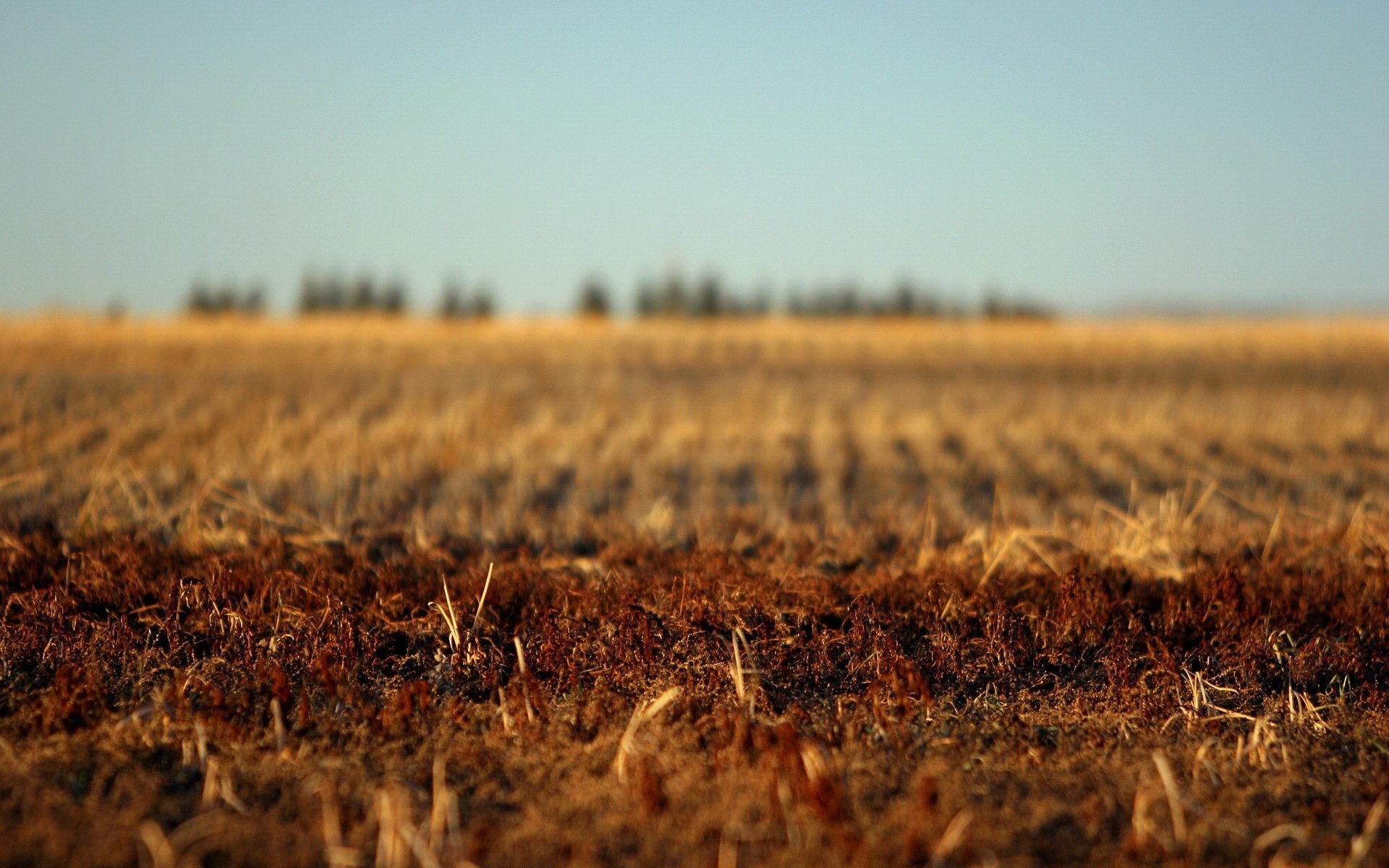 Обои земля, поле, осень, earth, field, autumn разрешение 1920x1440 Загрузить