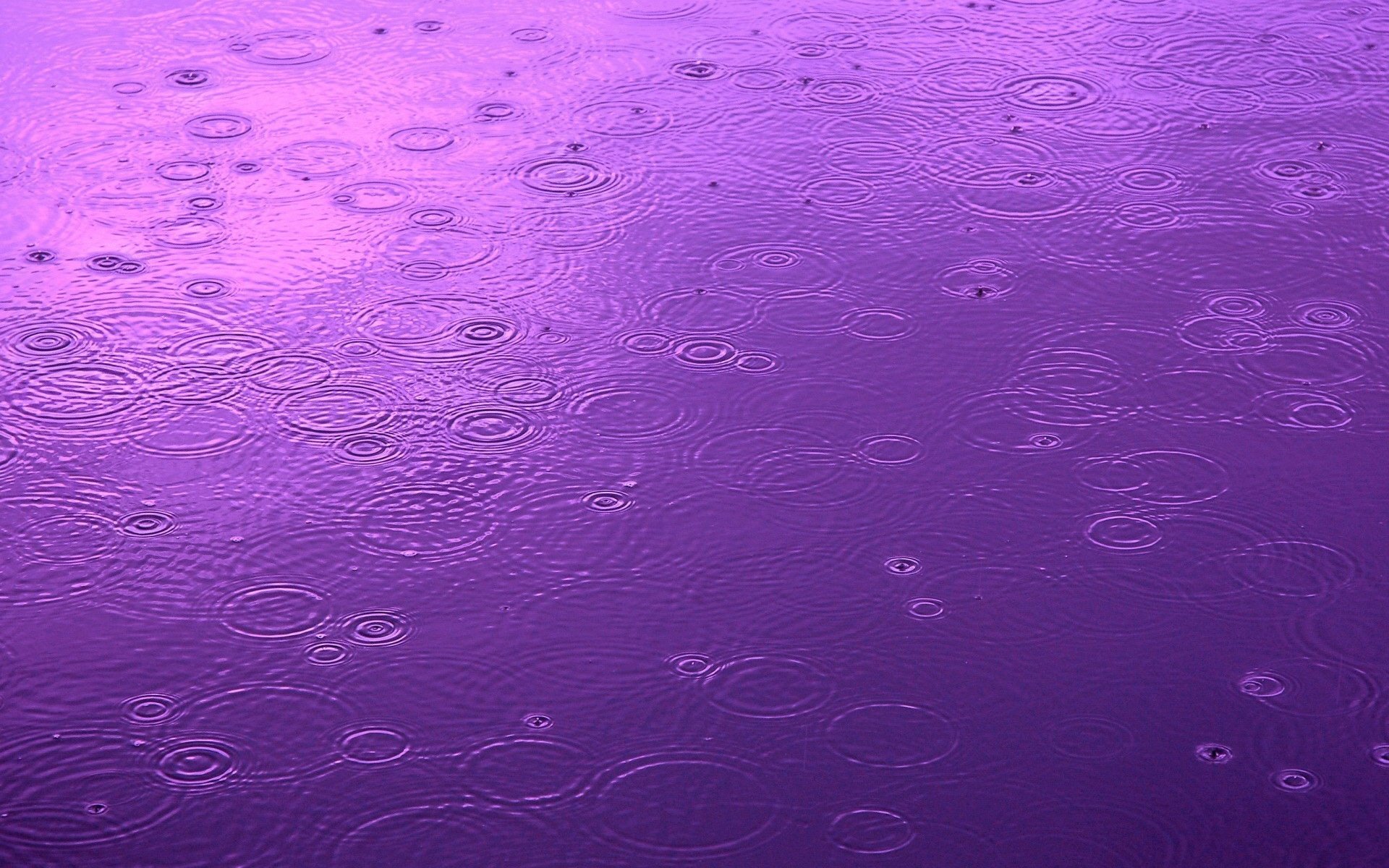 Обои вода, капли, цвет, круги, дождь, water, drops, color, circles, rain разрешение 1920x1440 Загрузить