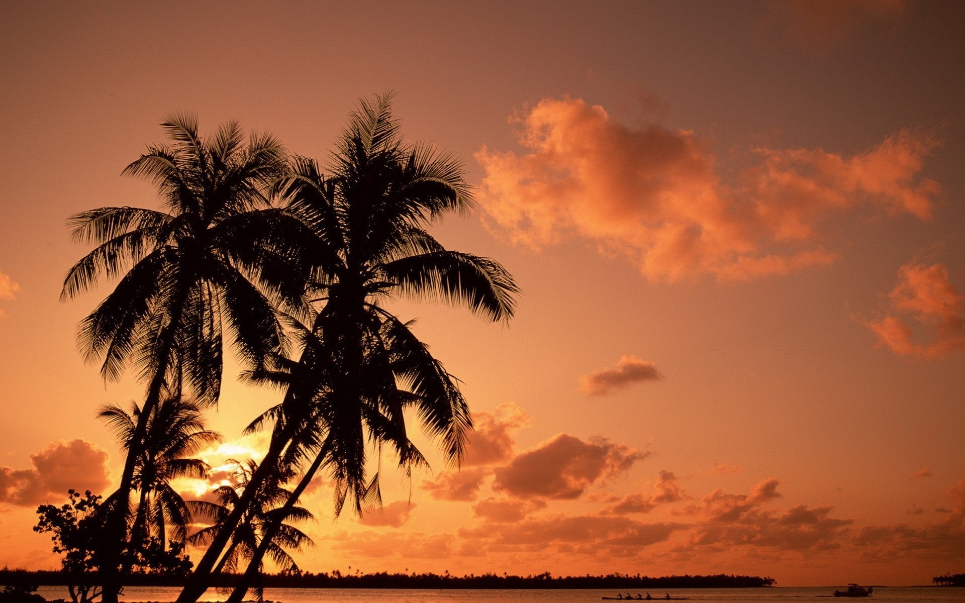 Обои закат, пальмы, отпуск, sunset, palm trees, vacation разрешение 1920x1440 Загрузить