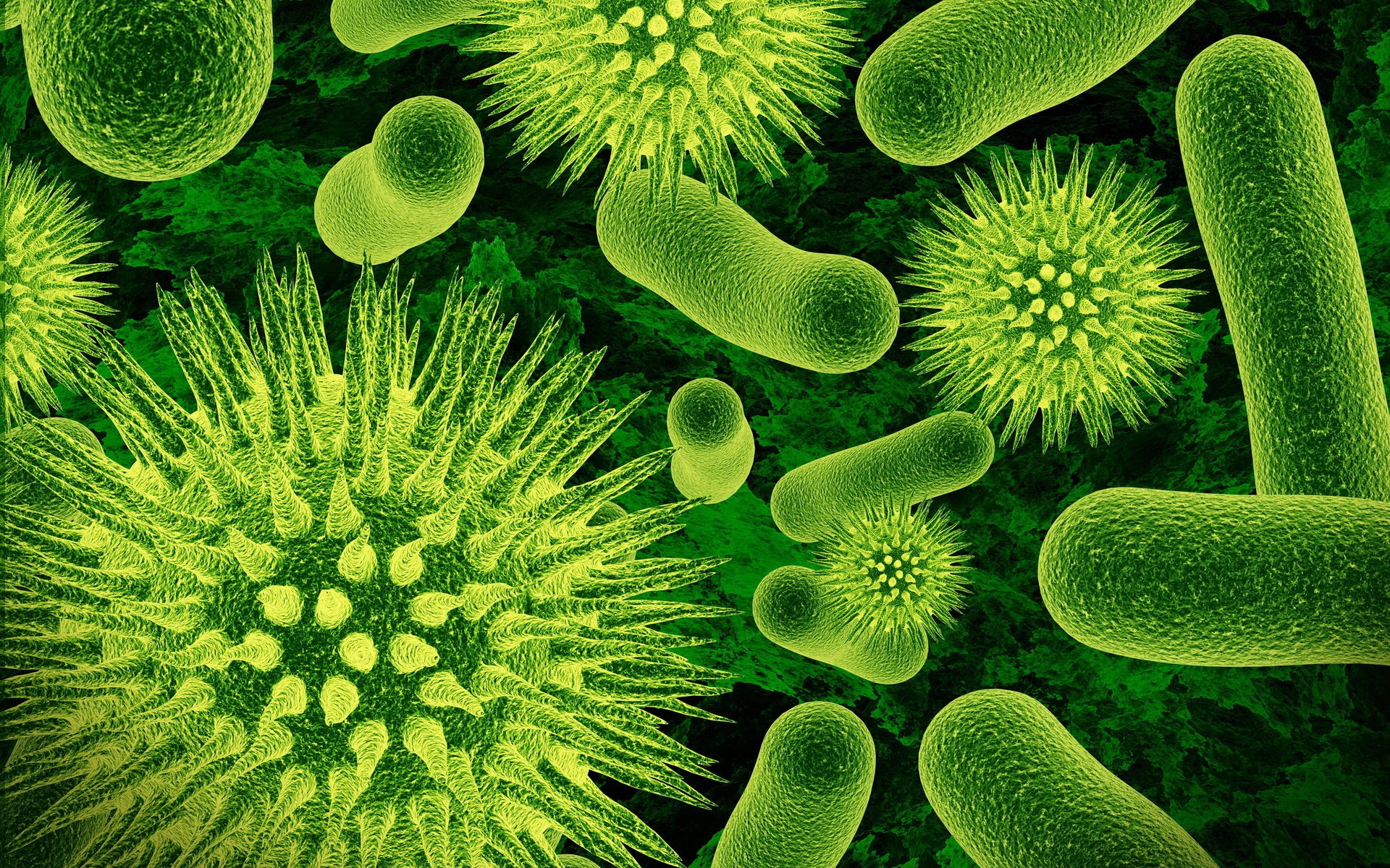 Обои макро, микробы, бактерии, macro, germs, bacteria разрешение 2560x1600 Загрузить