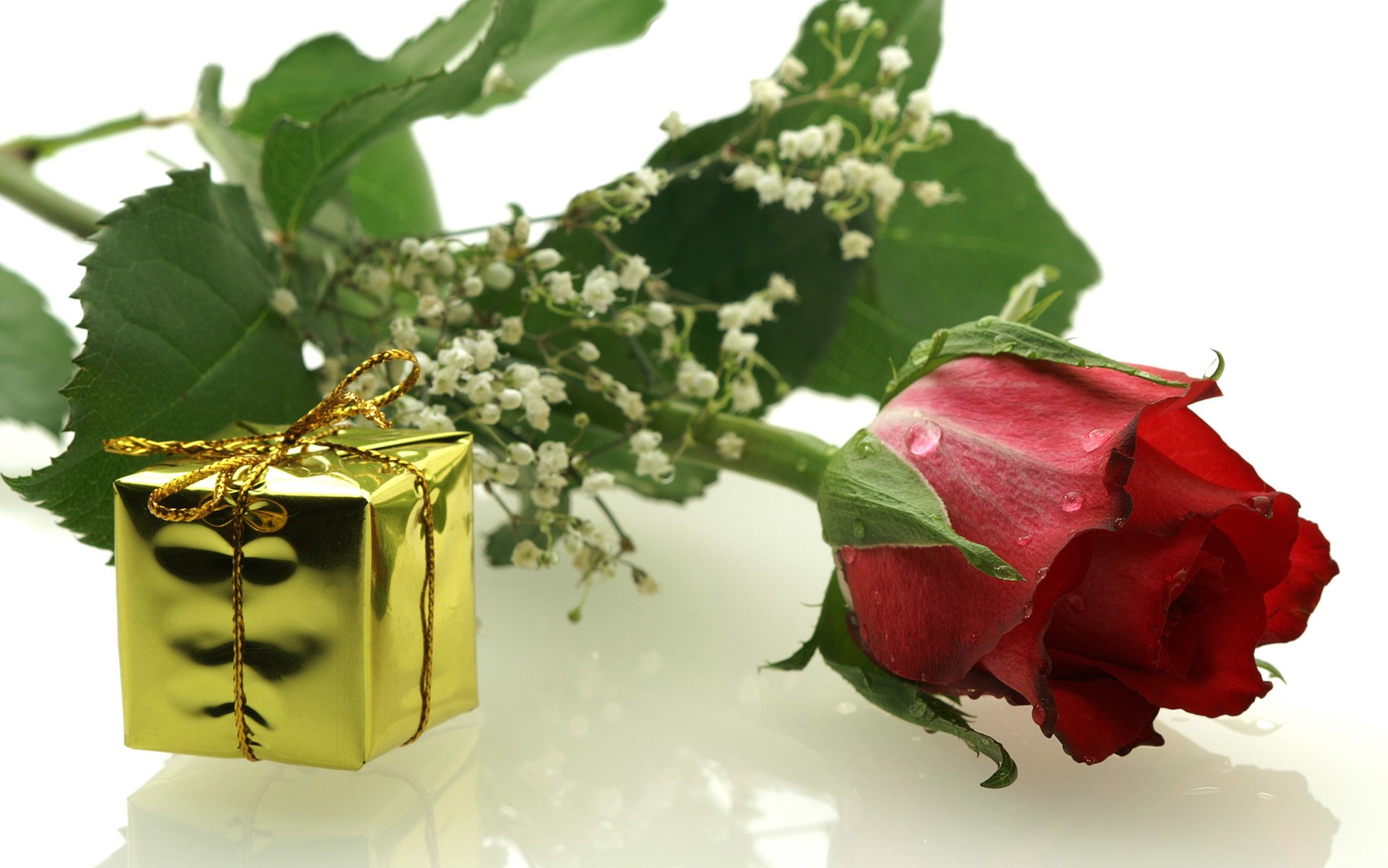 Обои цветы, роза, подарок, гипсофила, flowers, rose, gift, gypsophila разрешение 2560x1600 Загрузить