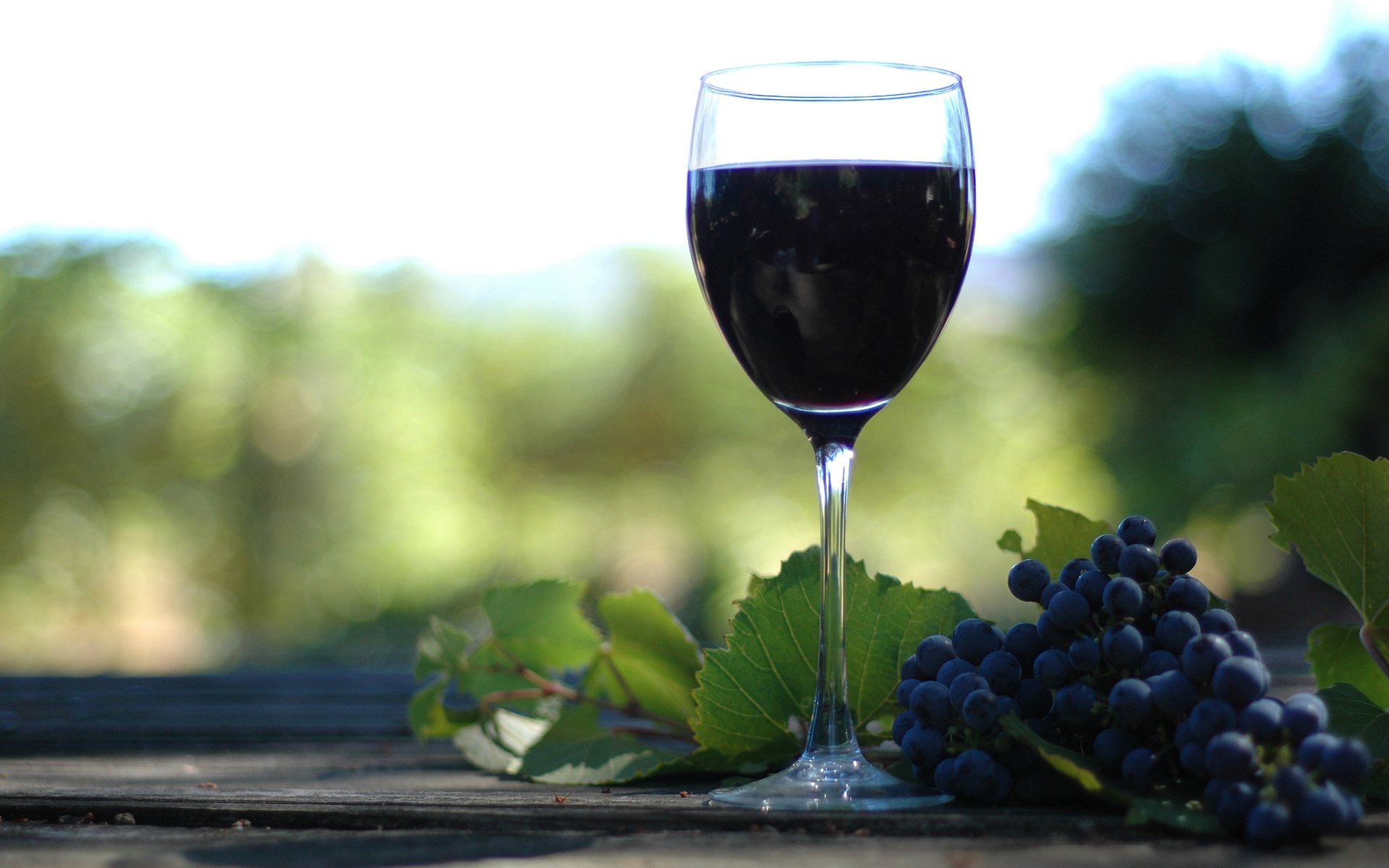Обои разное, вино, винаград, бутилко, деревия, different, wine, winograd, butilka, derive разрешение 2514x1671 Загрузить