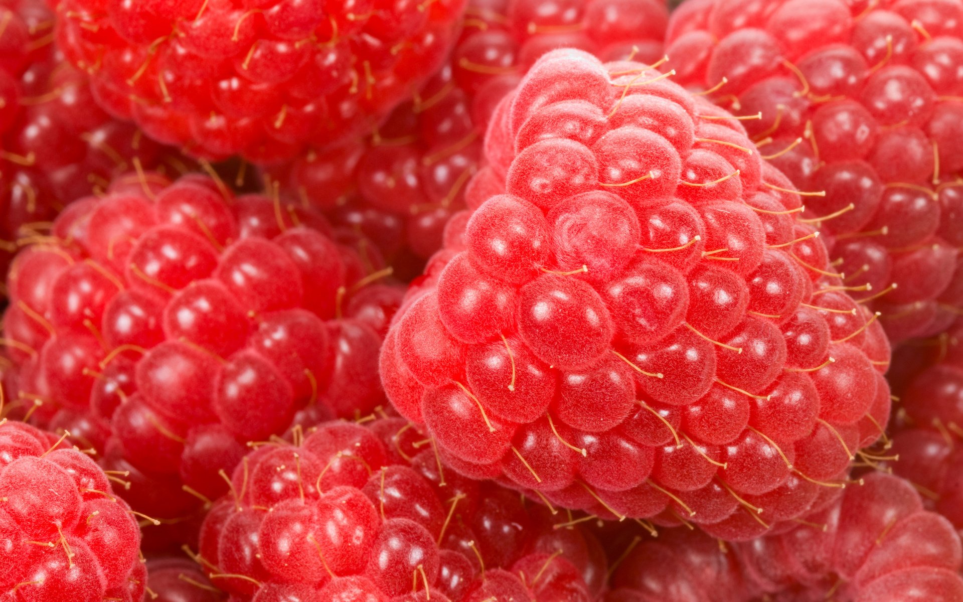 Обои макро, малина, ягода, спелая, красная малинка, macro, raspberry, berry, ripe, red raspberry разрешение 1920x1252 Загрузить