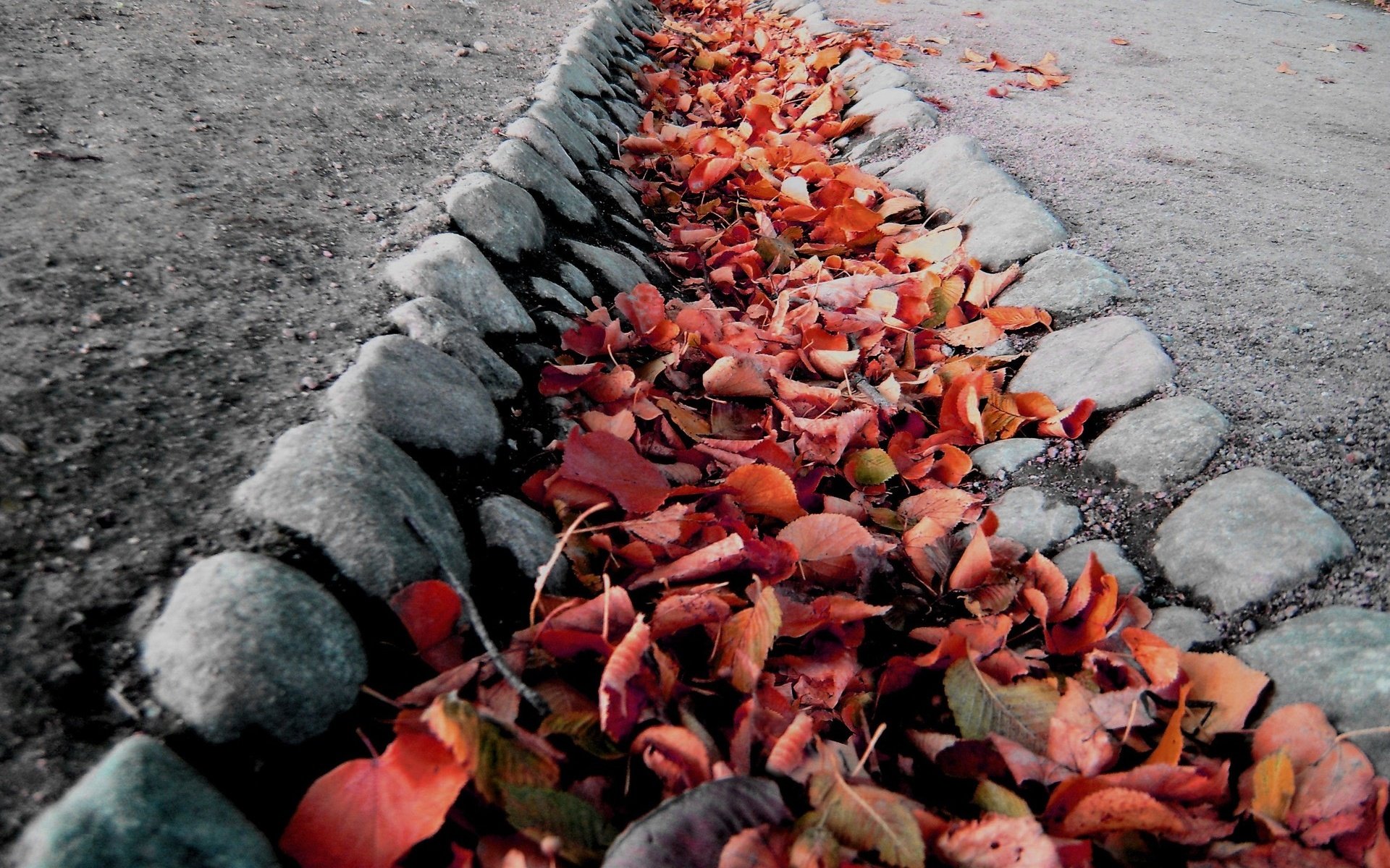 Обои камни, листья, макро, осень, колея, ров, stones, leaves, macro, autumn, track, ditch разрешение 1920x1319 Загрузить