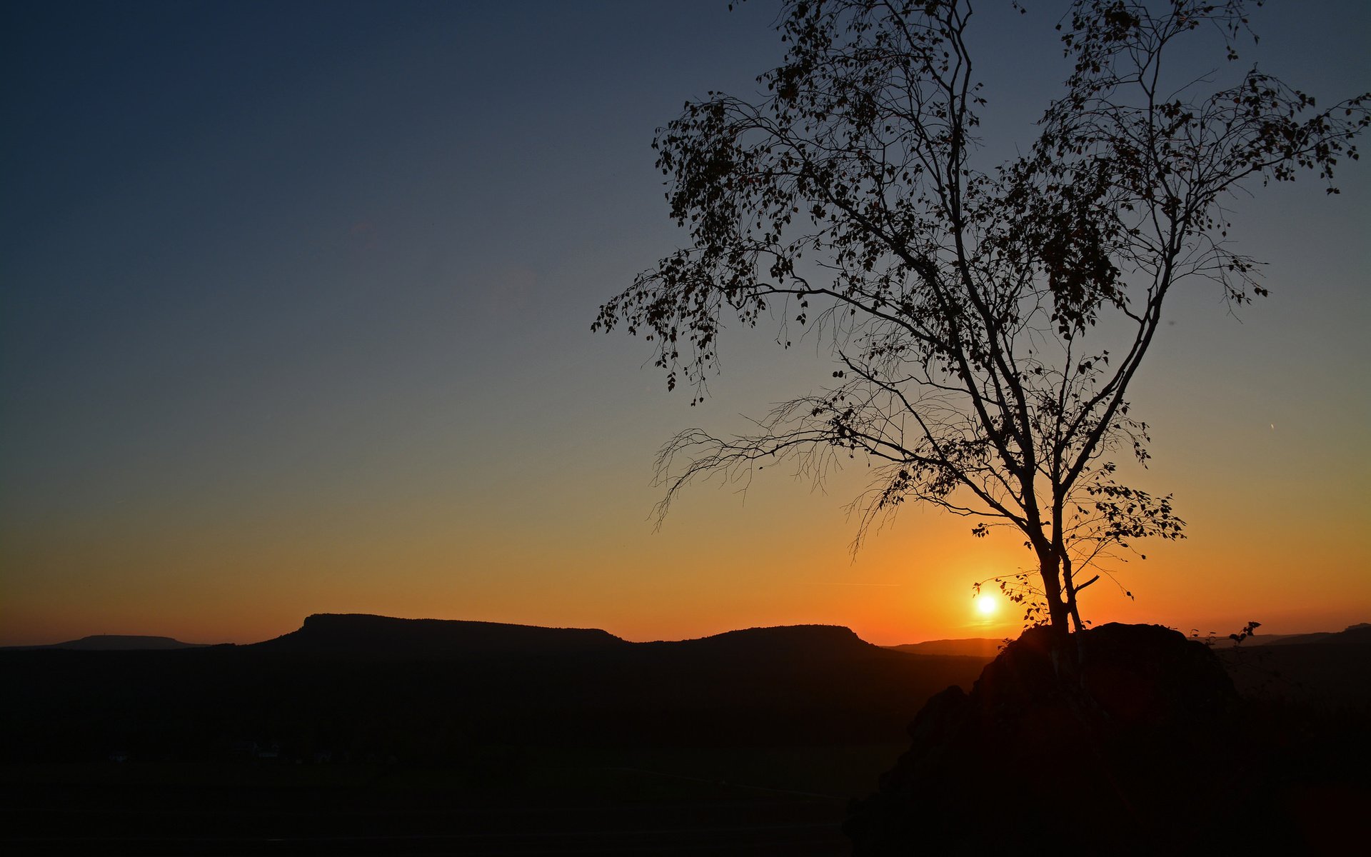 Обои небо, солнце, дерево, закат, силуэт, the sky, the sun, tree, sunset, silhouette разрешение 2048x1365 Загрузить