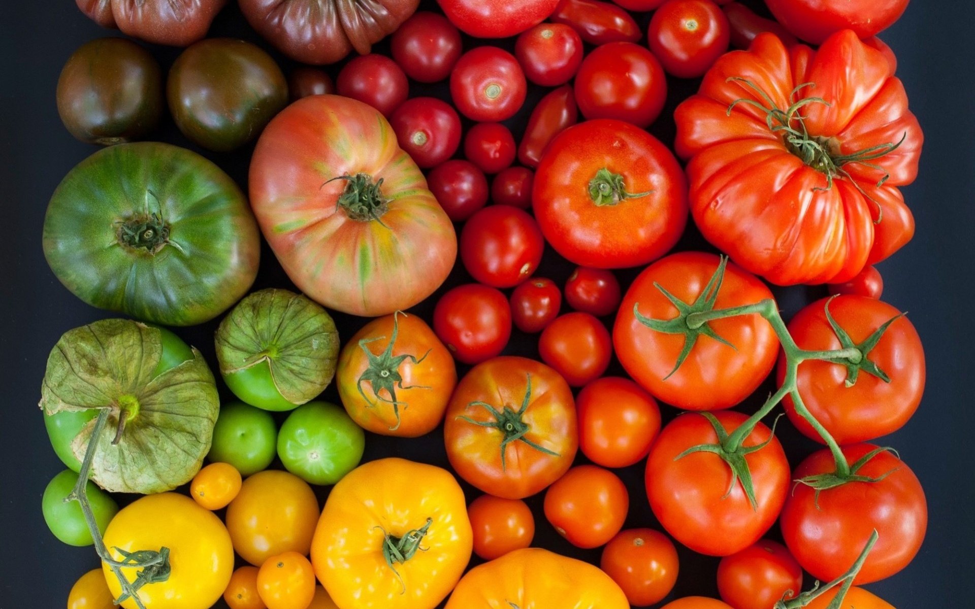 Обои разноцветные, урожай, овощи, помидоры, томаты, colorful, harvest, vegetables, tomatoes разрешение 1920x1771 Загрузить