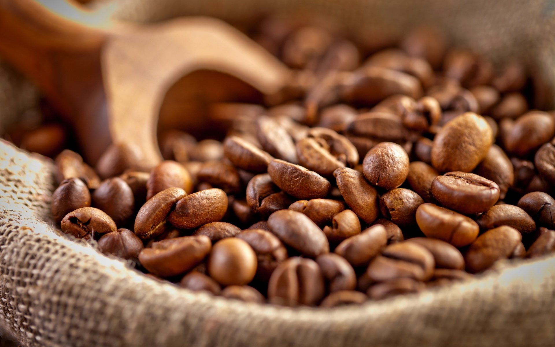 Обои зерна, кофе, мешок, кофейные зерна, лопатка, grain, coffee, bag, coffee beans, blade разрешение 2880x1920 Загрузить