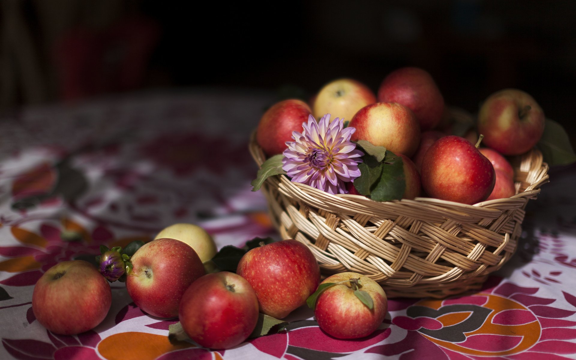 Обои еда, фрукты, яблоки, food, fruit, apples разрешение 5616x3744 Загрузить