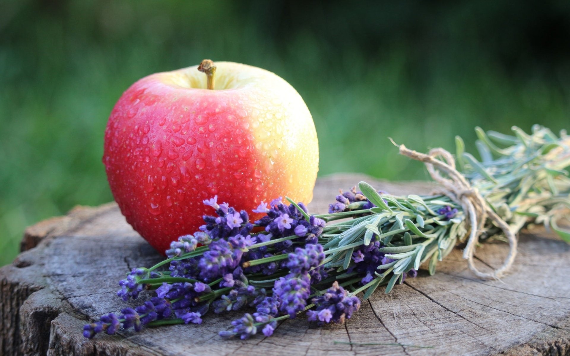 Обои цветы, лаванда, плод, фрукт, яблоко, flowers, lavender, the fruit, fruit, apple разрешение 1920x1238 Загрузить