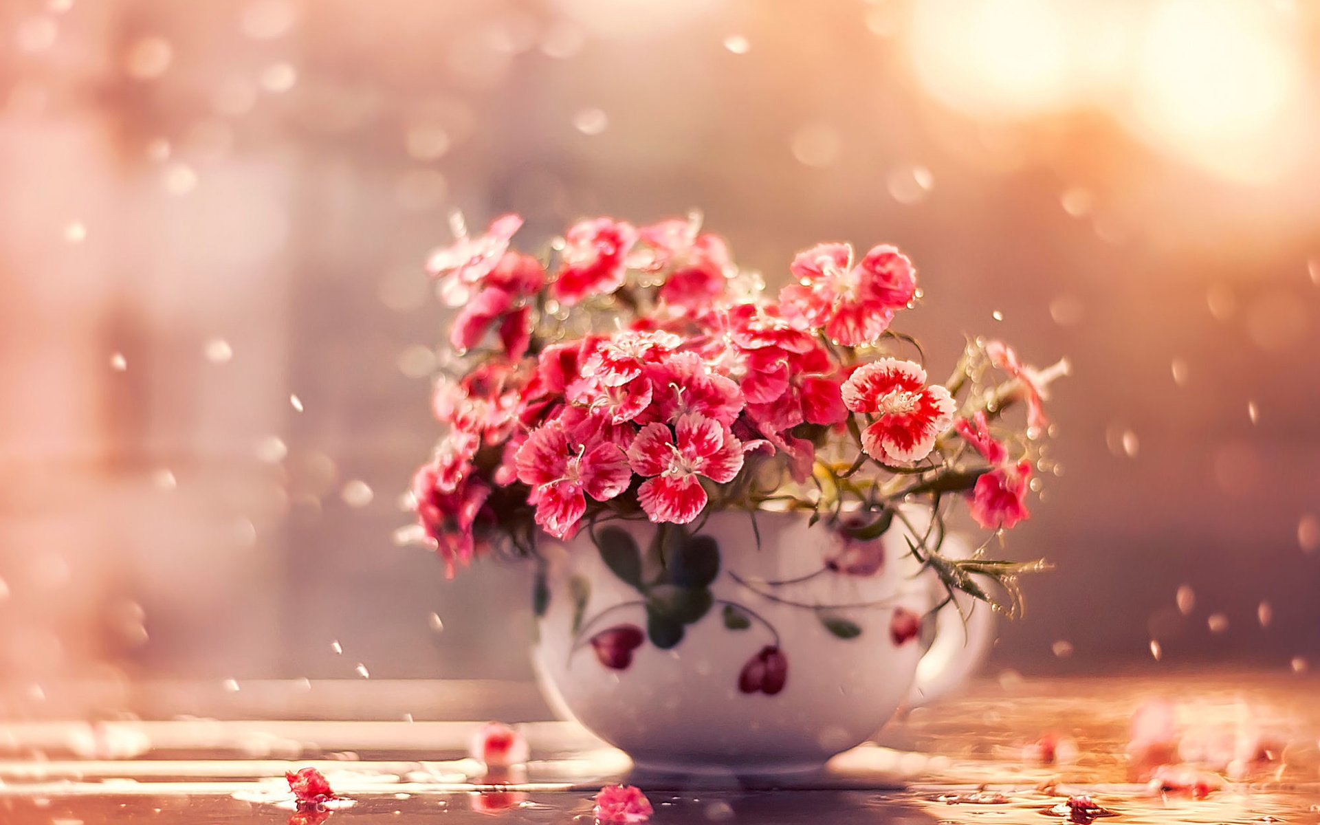 Обои цветы, дождь, чашка, flowers, rain, cup разрешение 2000x1526 Загрузить