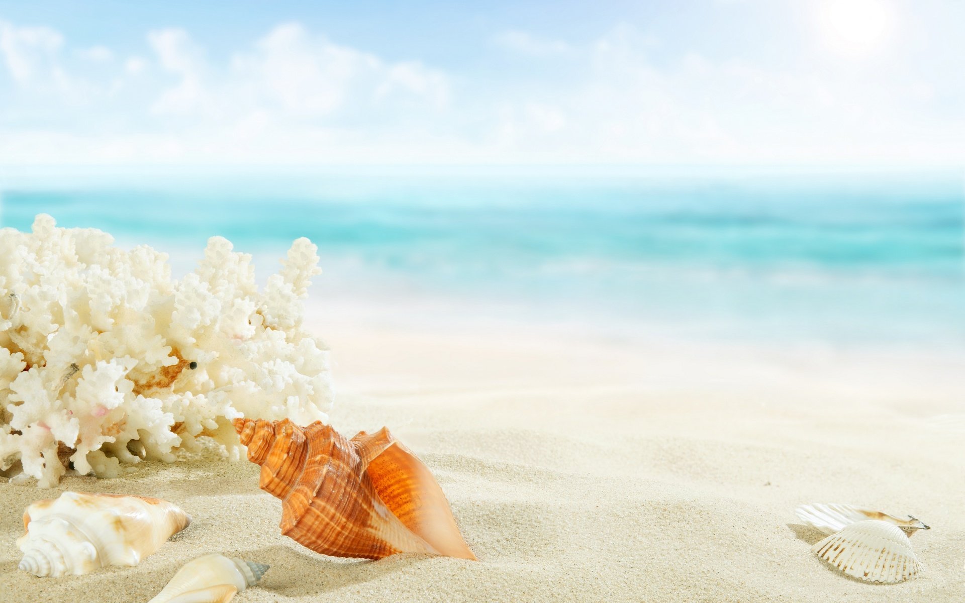 Обои берег, песка, seashells, море, летнее, песок, пляж, ракушки, голубая, морская звезда, рай, shore, sea, summer, sand, beach, shell, blue, starfish, paradise разрешение 2880x2119 Загрузить