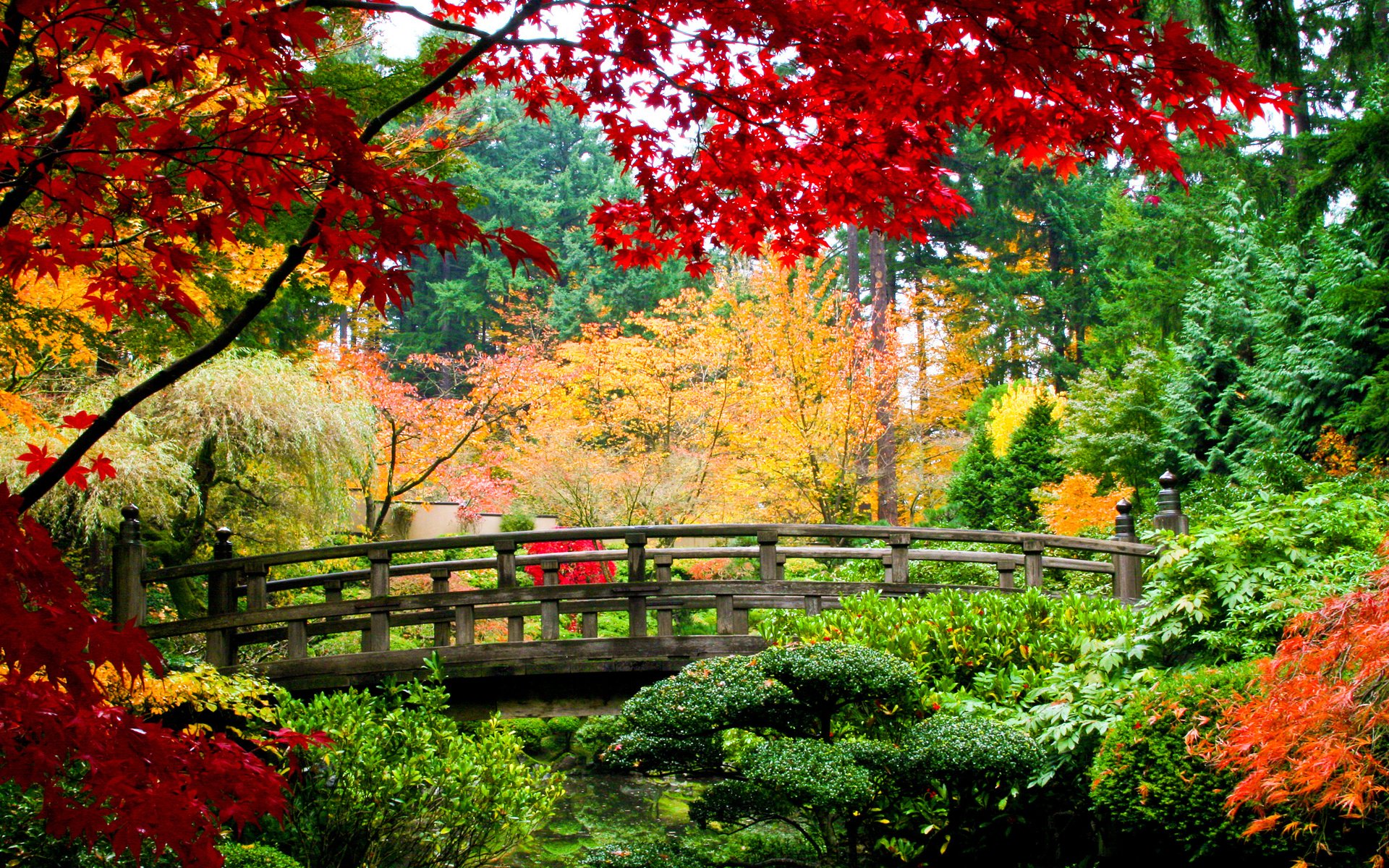 Обои парк, мост, осень, красивая осень, park, bridge, autumn, beautiful autumn разрешение 3000x2003 Загрузить