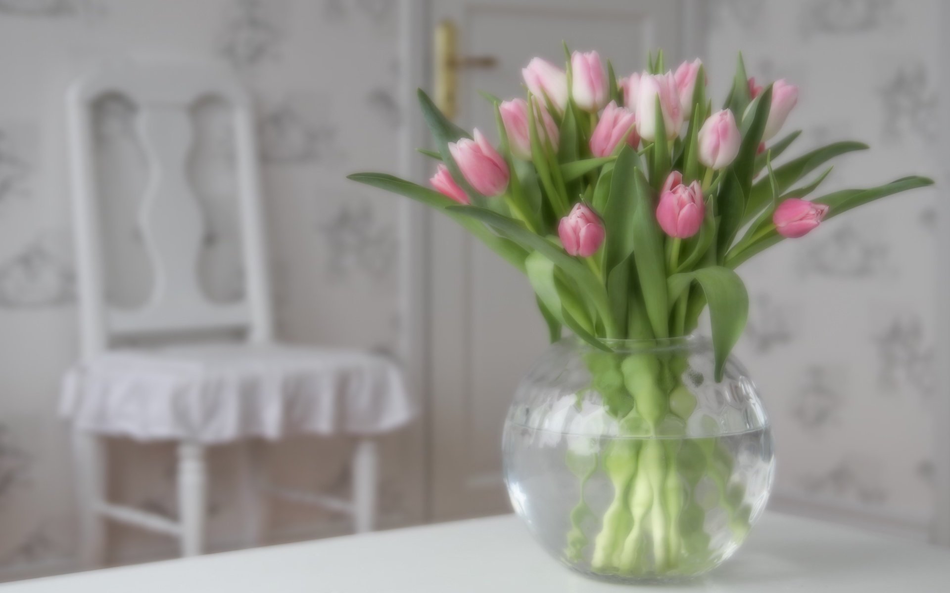 Обои цветы, бутоны, букет, тюльпаны, розовые, ваза, flowers, buds, bouquet, tulips, pink, vase разрешение 4810x3207 Загрузить