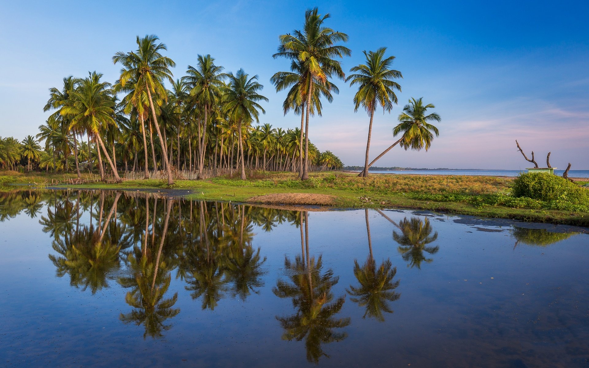 Обои небо, отражение, пейзаж, море, пальмы, пальма, the sky, reflection, landscape, sea, palm trees, palma разрешение 2048x1297 Загрузить