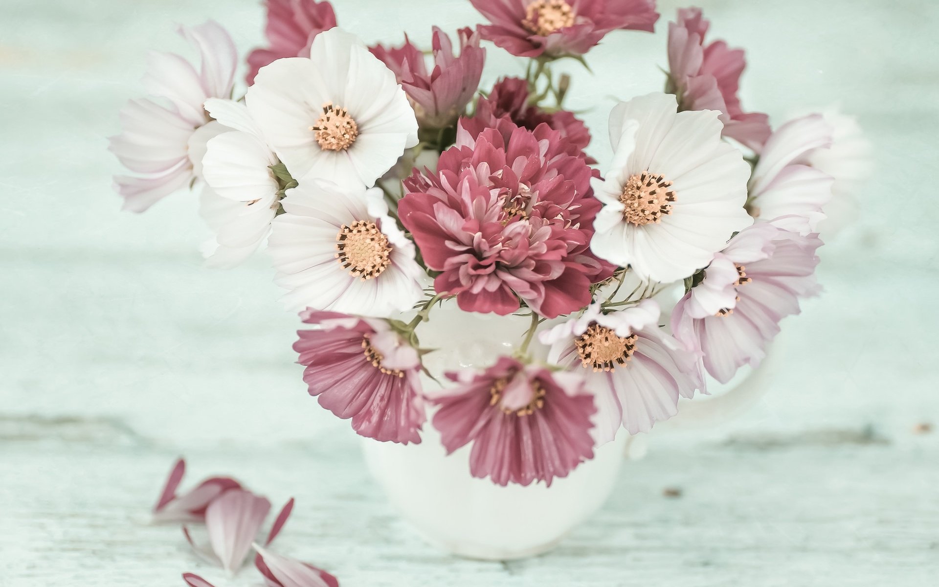 Обои цветы, лепестки, букет, хризантема, космея, flowers, petals, bouquet, chrysanthemum, kosmeya разрешение 2048x2048 Загрузить