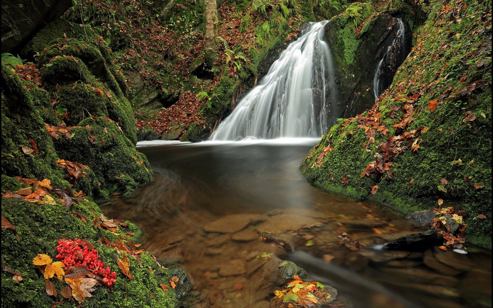 Обои лес, листья, водопад, осень, мох, германия, рейнланд-пфальц, forest, leaves, waterfall, autumn, moss, germany, rhineland-palatinate разрешение 2048x1294 Загрузить