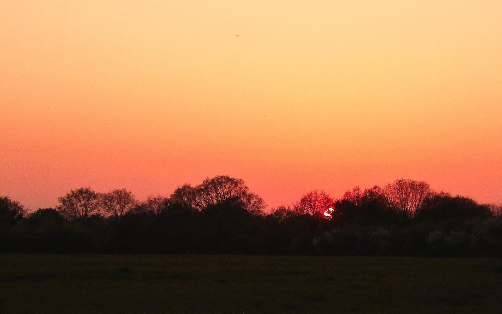 Обои небо, деревья, закат, закат солнца, the sky, trees, sunset разрешение 5136x2696 Загрузить