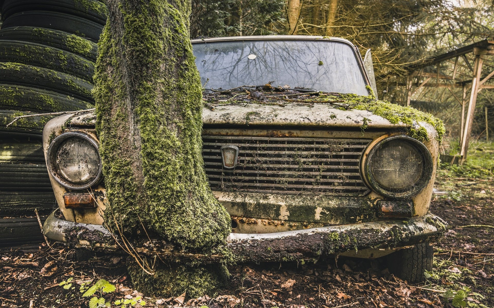 Обои дерево, авто, мох, лом, жигули, tree, auto, moss, scrap, lada разрешение 2048x1367 Загрузить