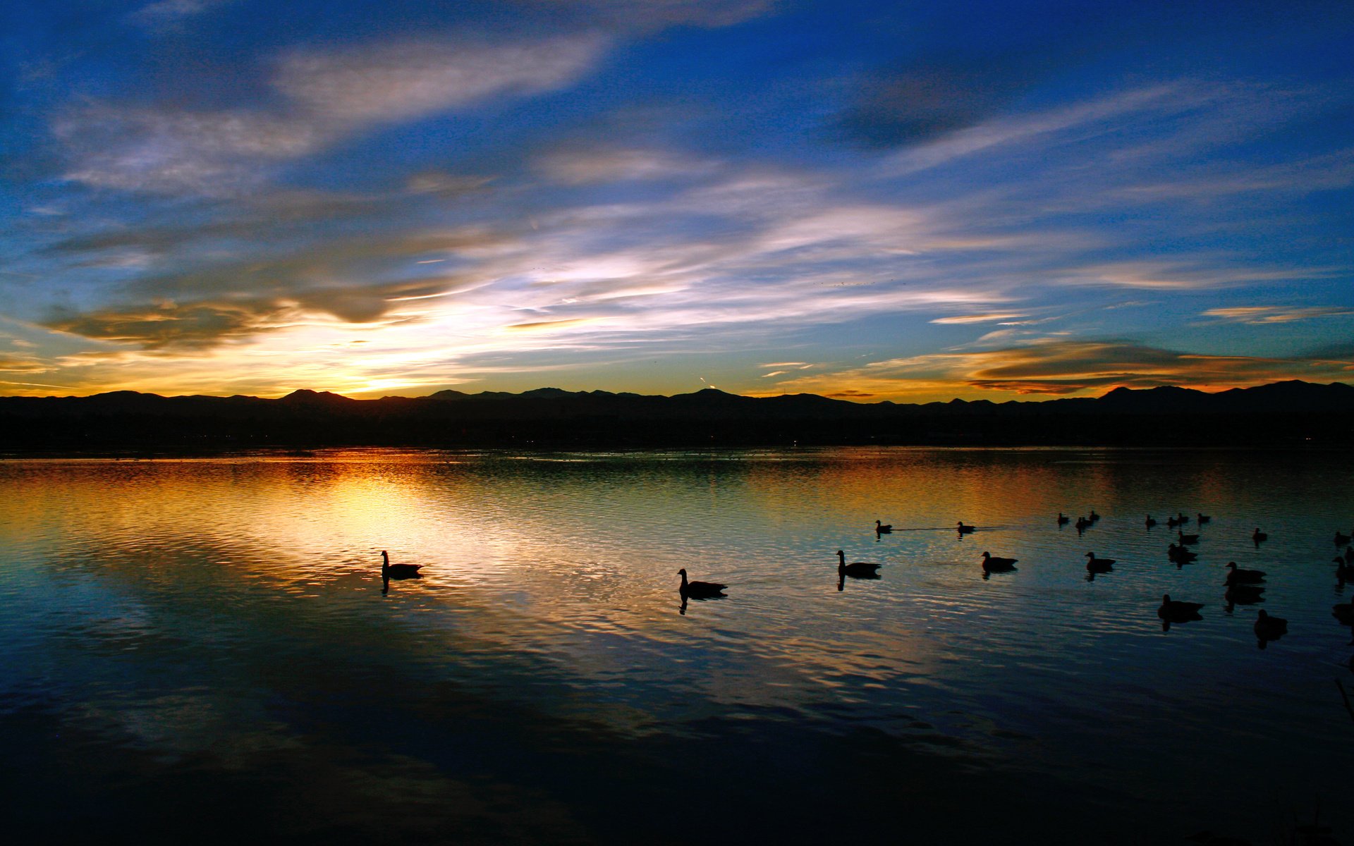 Обои озеро, закат, утки, lake, sunset, duck разрешение 3888x2592 Загрузить