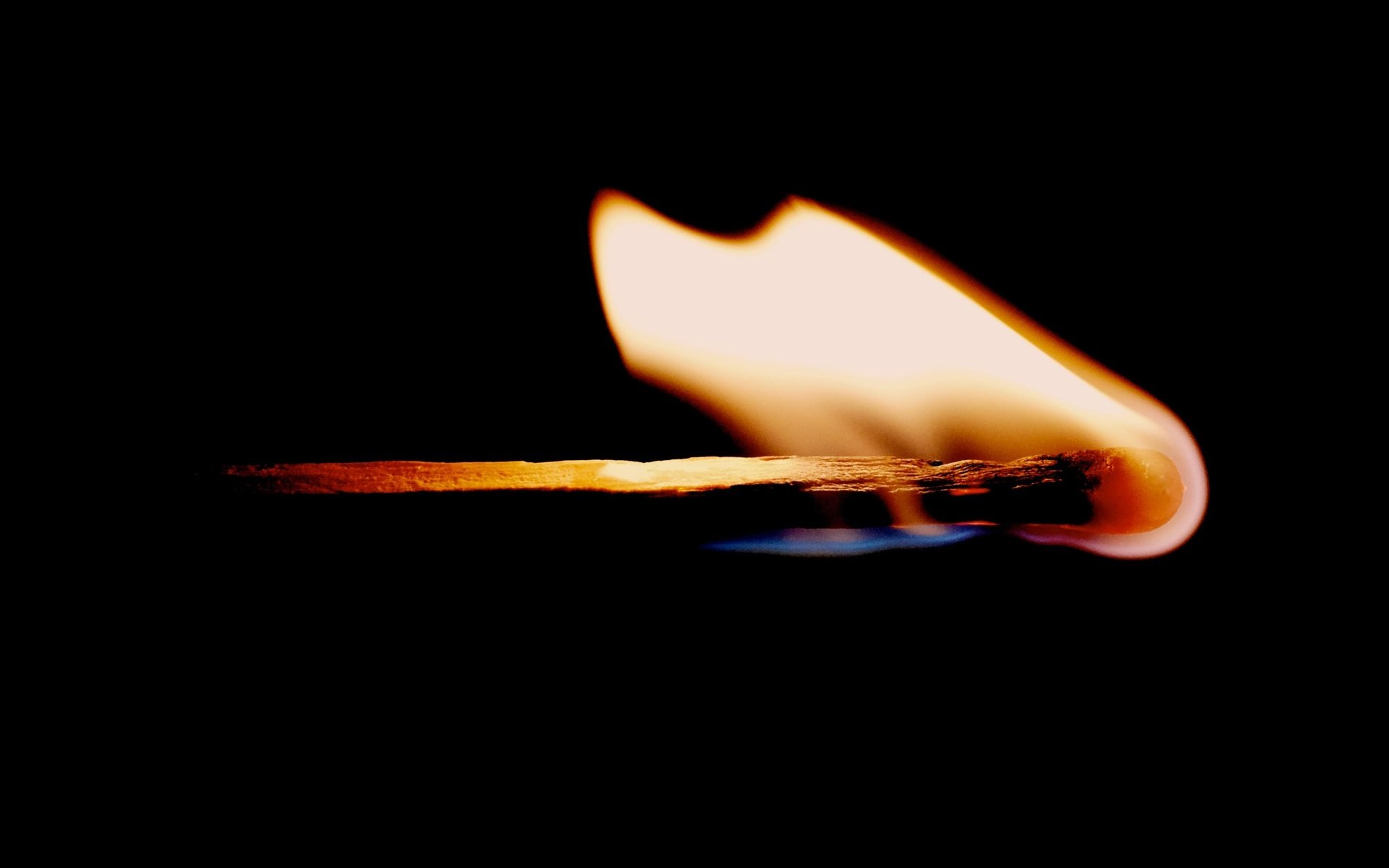 Обои пламя, огонь, черный фон, спичка, flame, fire, black background, match разрешение 3103x2068 Загрузить