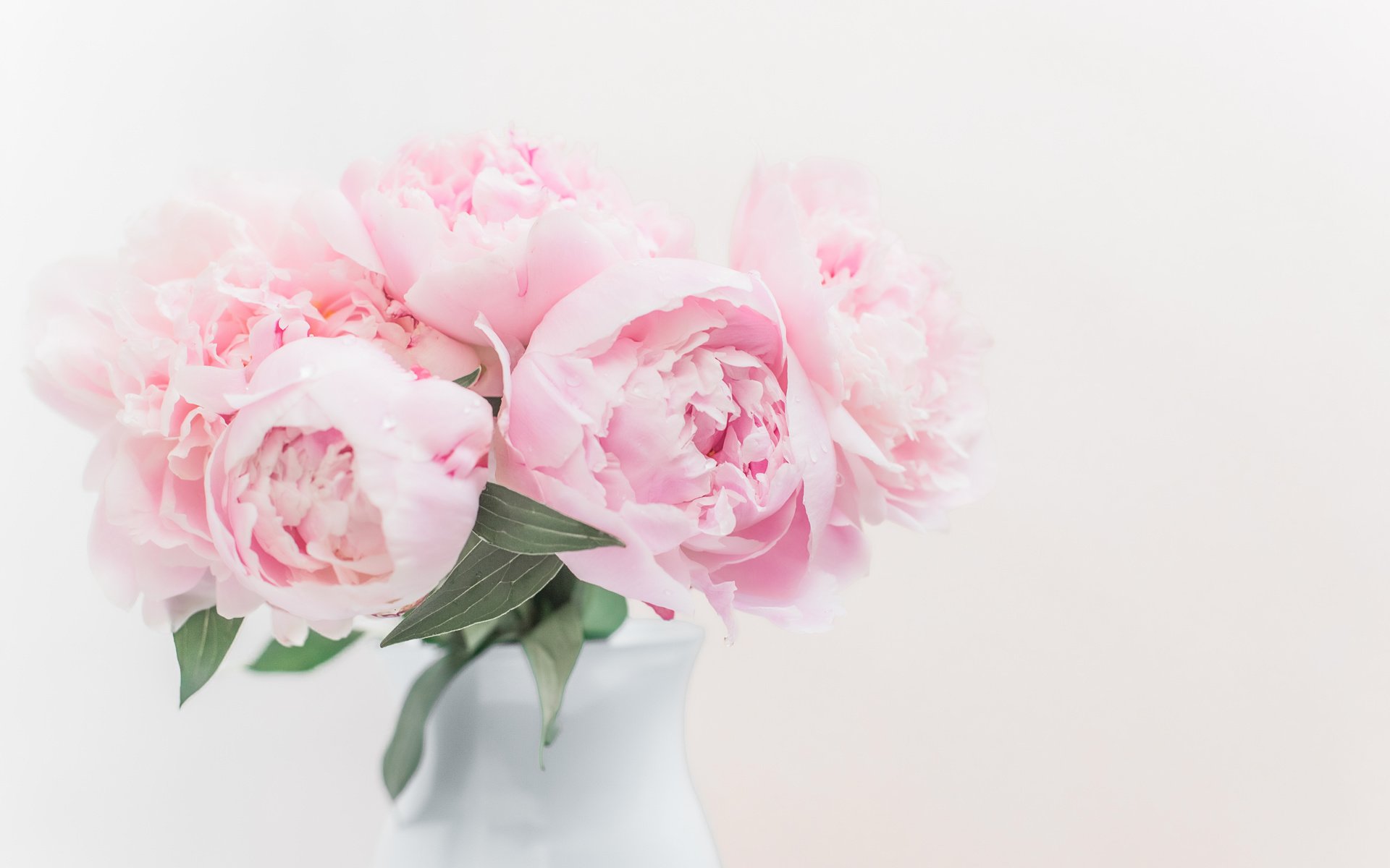 Обои букет, розовые, пионы, bouquet, pink, peonies разрешение 5472x3648 Загрузить