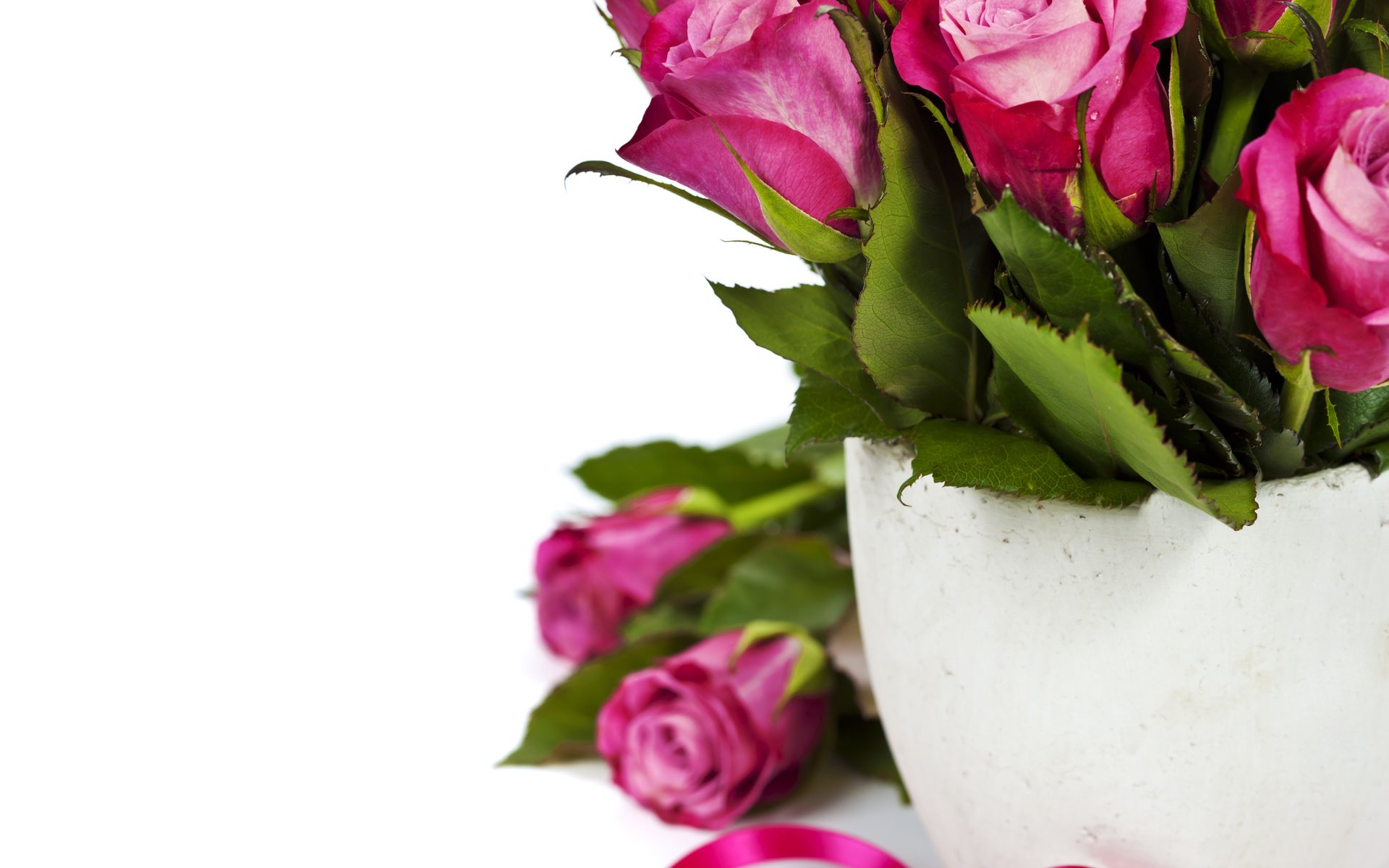 Обои цветы, бутоны, розы, лепестки, flowers, buds, roses, petals разрешение 5616x5616 Загрузить