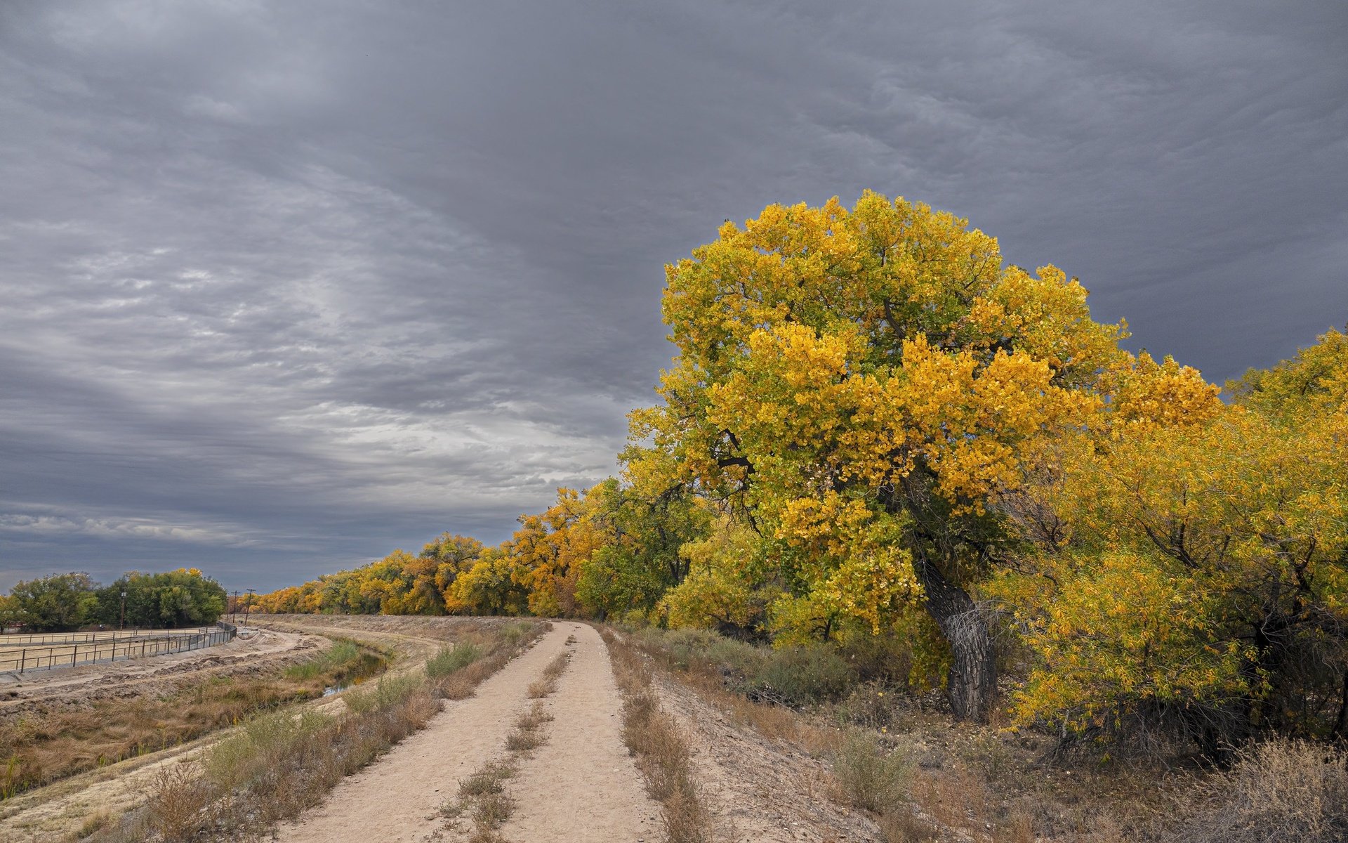 Обои дорога, деревья, природа, осень, road, trees, nature, autumn разрешение 2048x1365 Загрузить