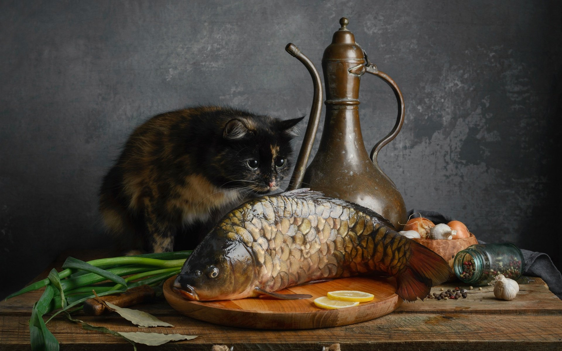 Обои кот, кошка, рыба, карп, cat, fish, carp разрешение 2500x1905 Загрузить
