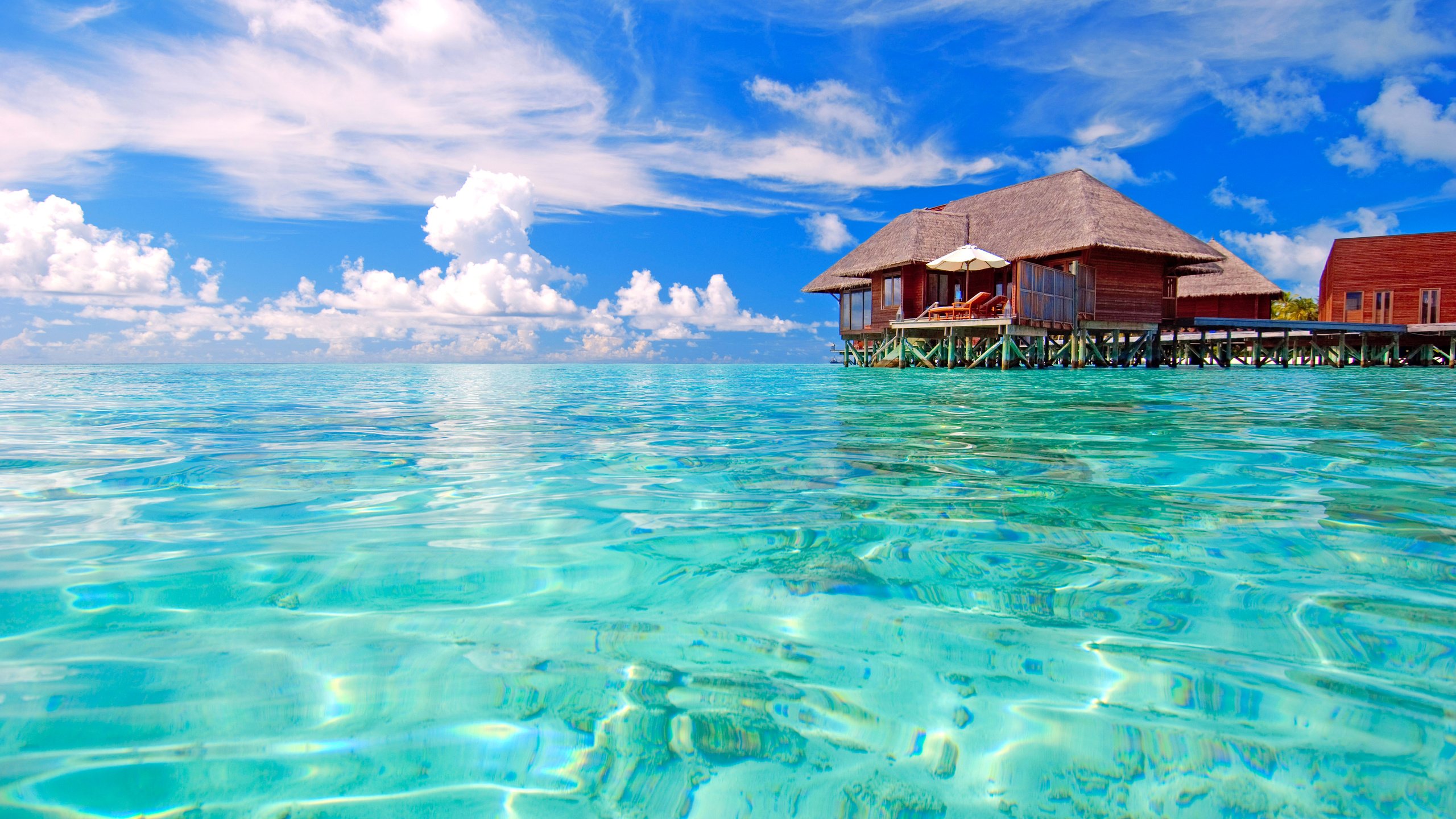 Обои бунгало, тропики, мальдивы, bungalow, tropics, the maldives разрешение 4288x2848 Загрузить