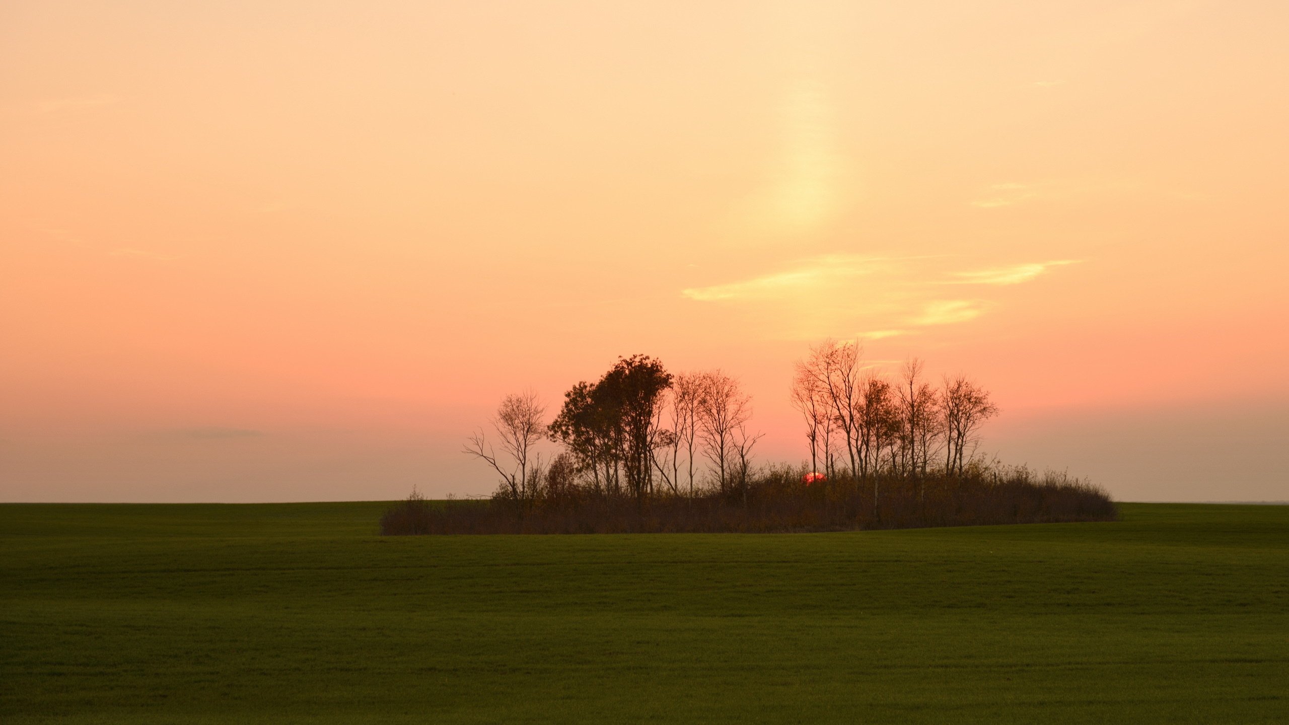 Обои закат, пейзаж, поле, sunset, landscape, field разрешение 2560x1600 Загрузить