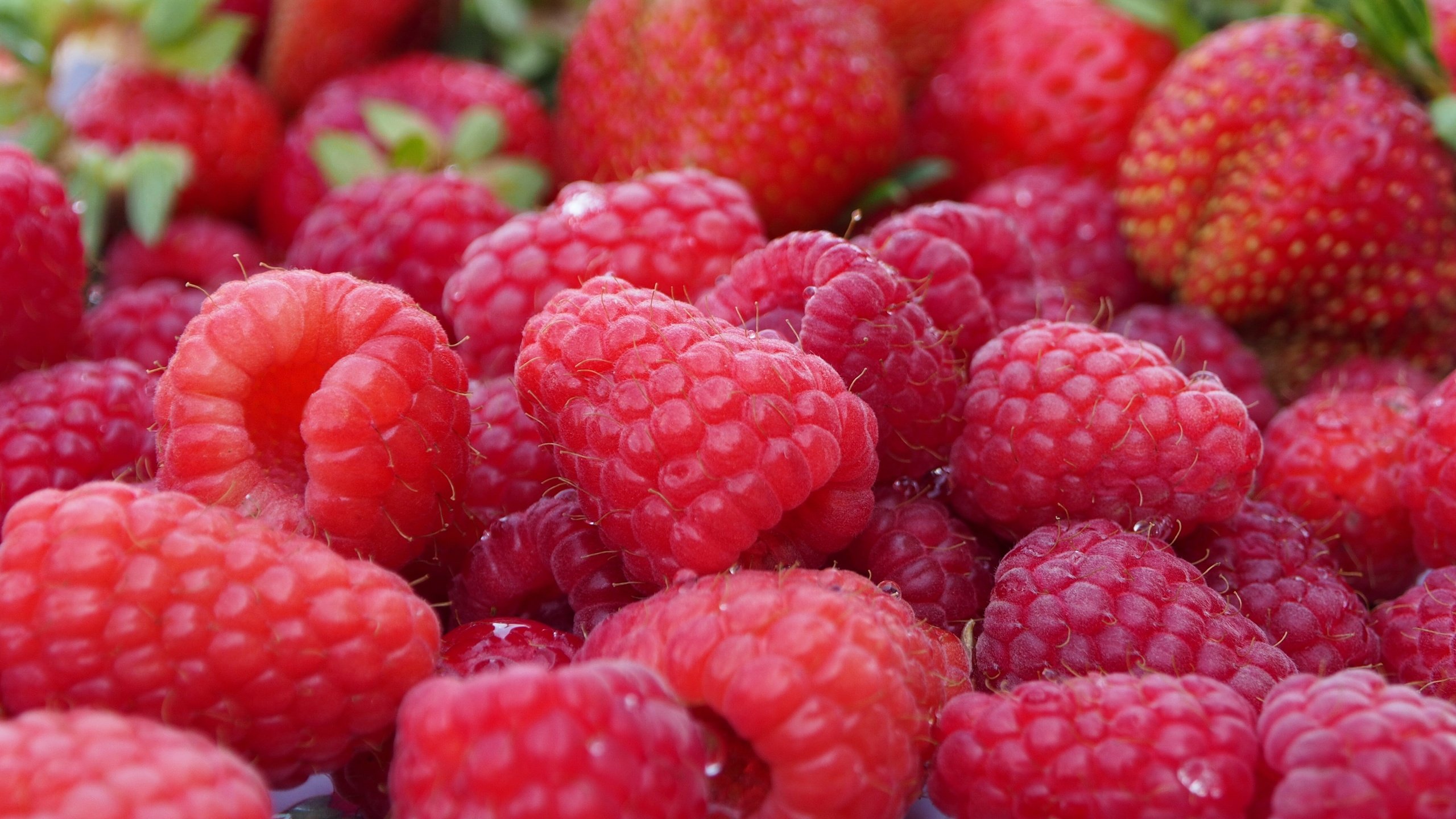 Обои макро, малина, ягоды, macro, raspberry, berries разрешение 4608x2592 Загрузить