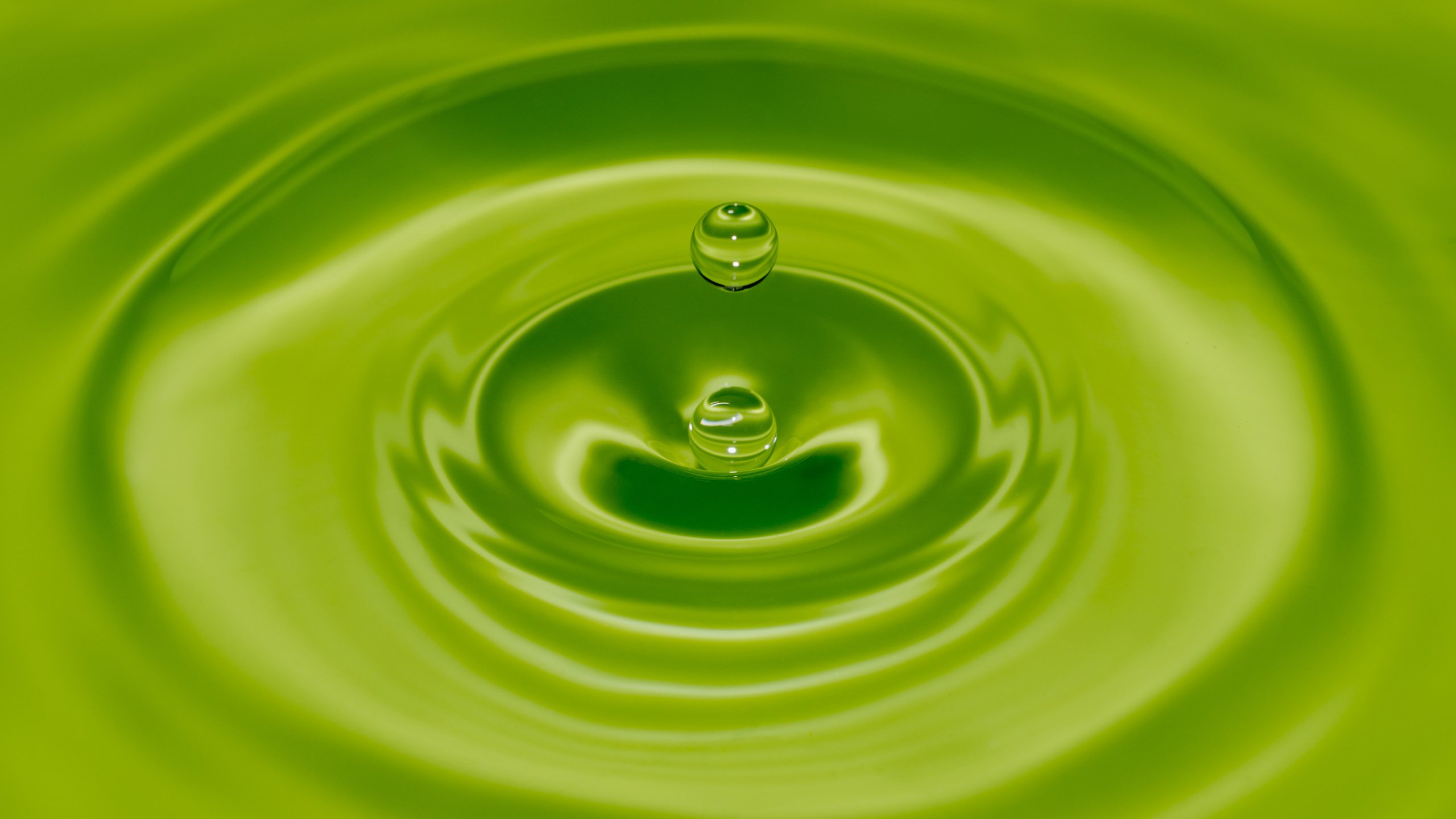 Обои вода, зелёный, фон, капля, цвет, water, green, background, drop, color разрешение 4441x2811 Загрузить