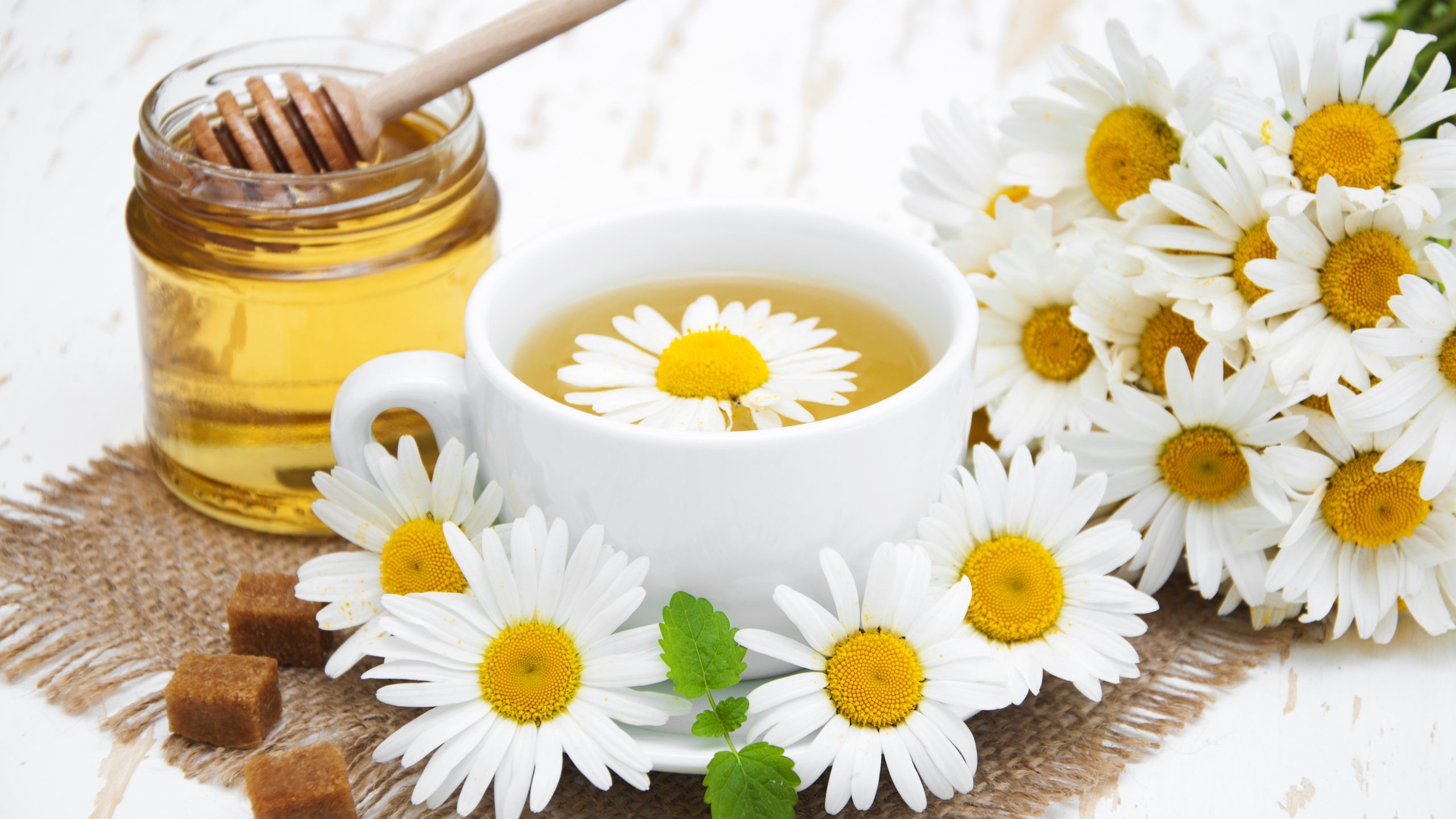 Обои цветы, ромашки, чашка, чай, мед, сахар, травяной чай, flowers, chamomile, cup, tea, honey, sugar, herbal tea разрешение 4215x2674 Загрузить