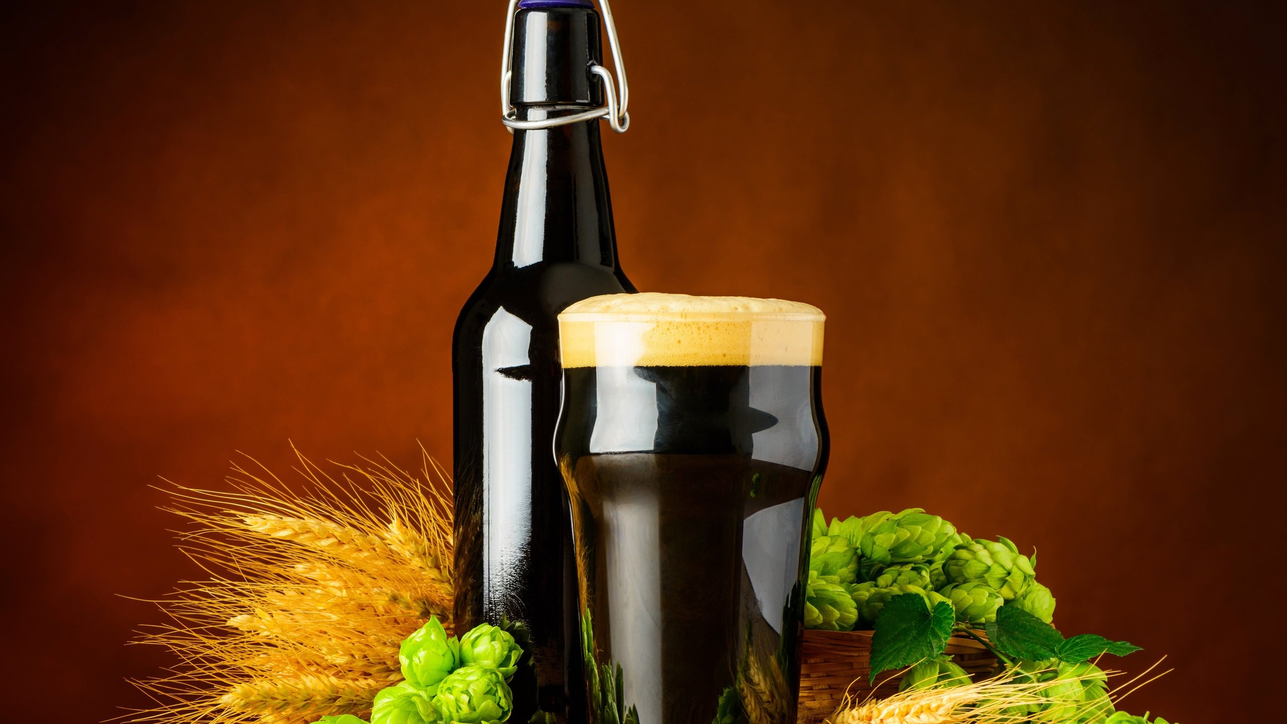 Обои стакан, пиво, солод, хмель, glass, beer, malt, hops разрешение 6031x4534 Загрузить