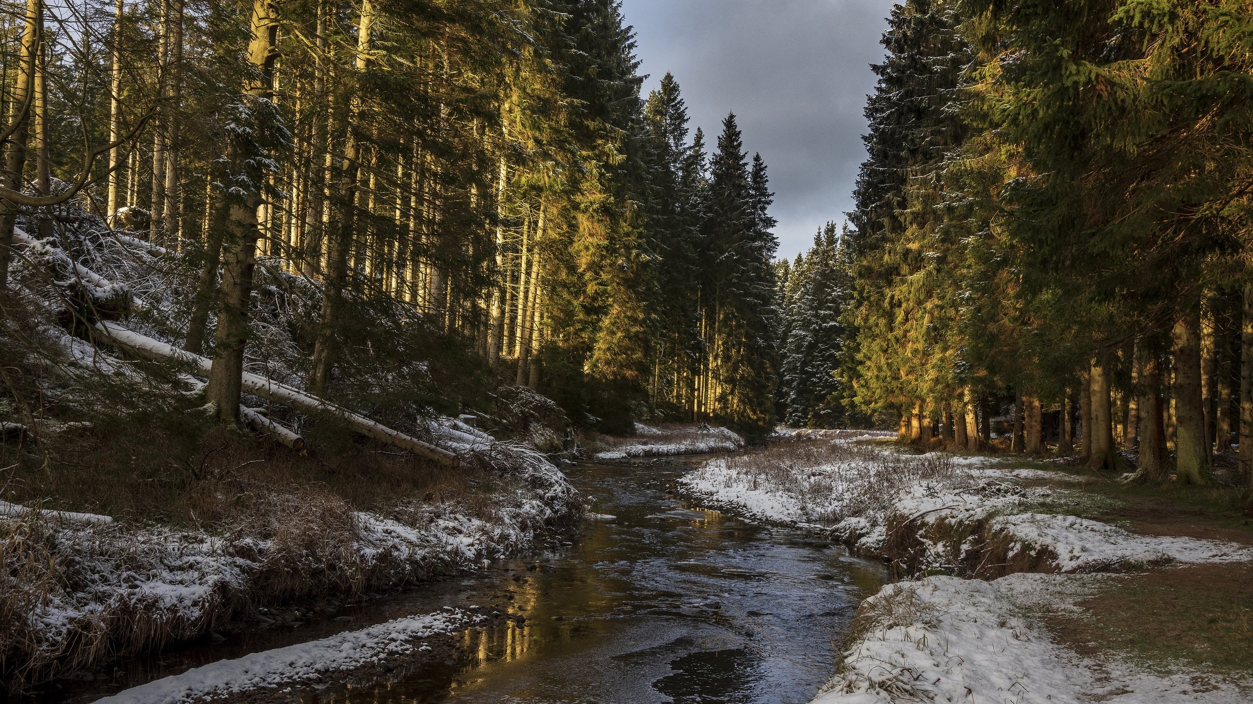 Обои деревья, река, снег, природа, лес, солнечный свет, trees, river, snow, nature, forest, sunlight разрешение 4500x3004 Загрузить