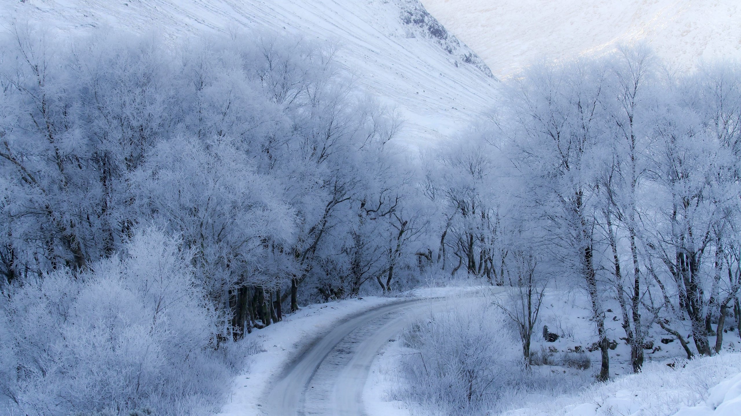 Обои дорога, снег, зима, road, snow, winter разрешение 3840x2160 Загрузить